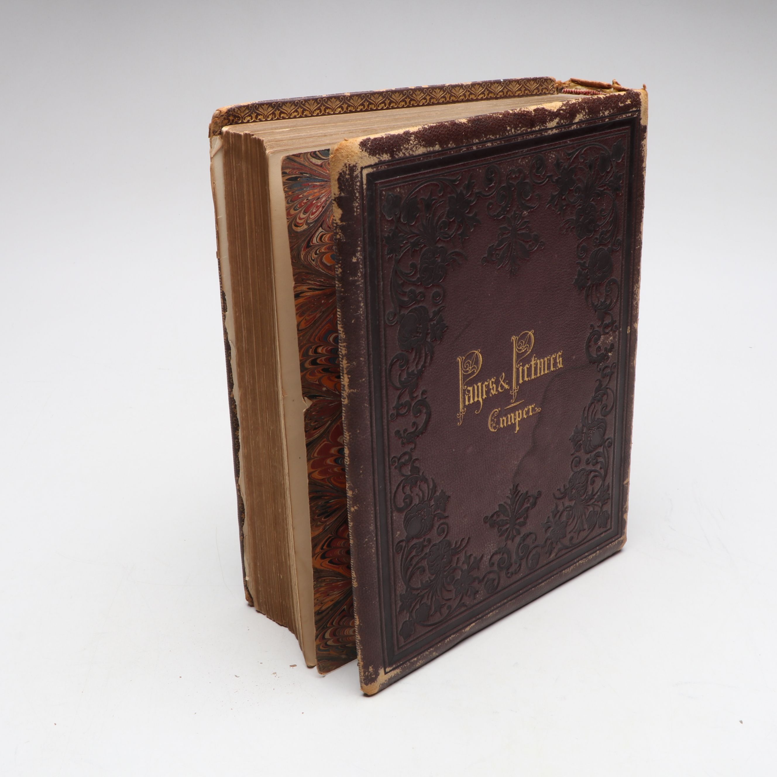 "Page and Pictures" by Susan Fenimore Cooper, 1865