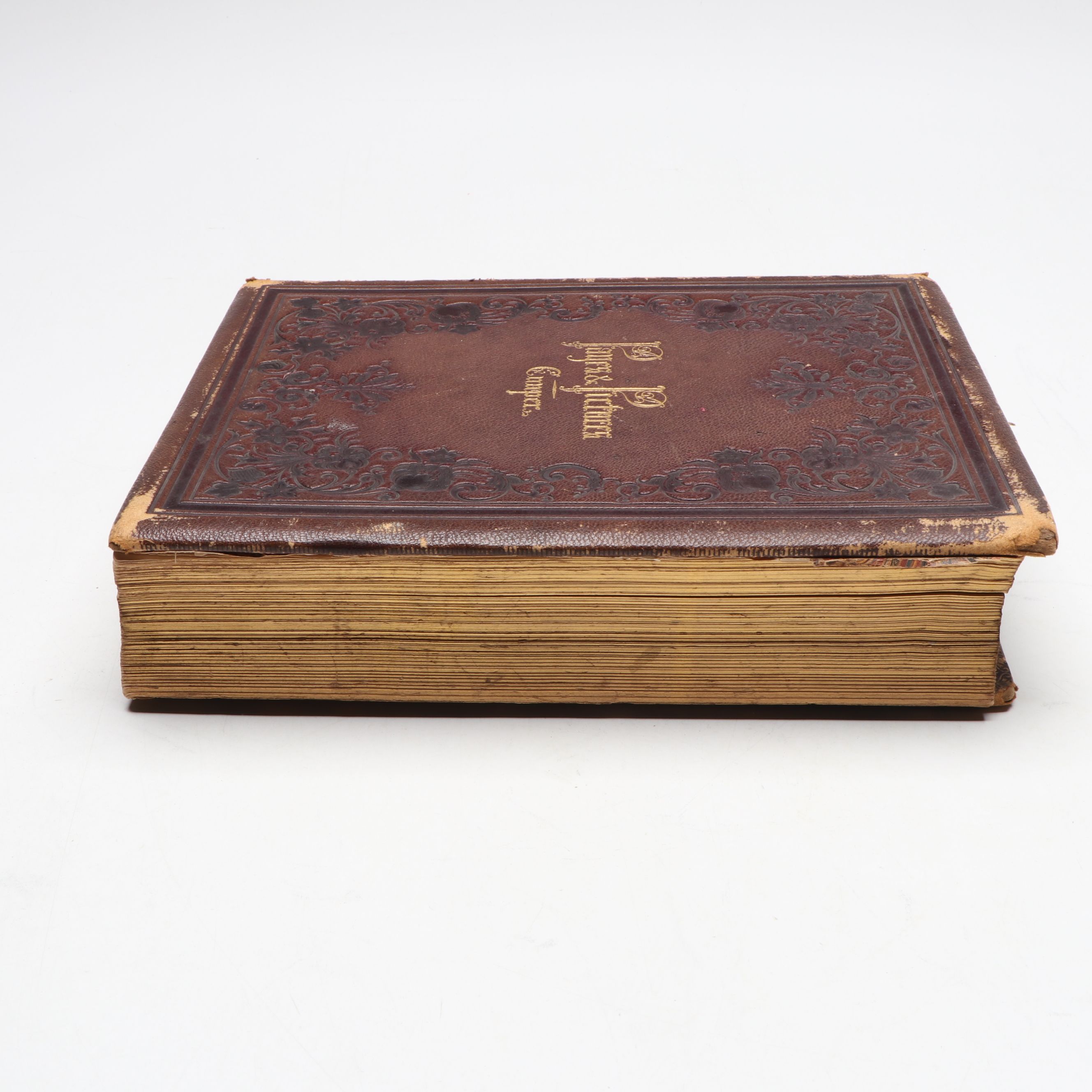 "Page and Pictures" by Susan Fenimore Cooper, 1865