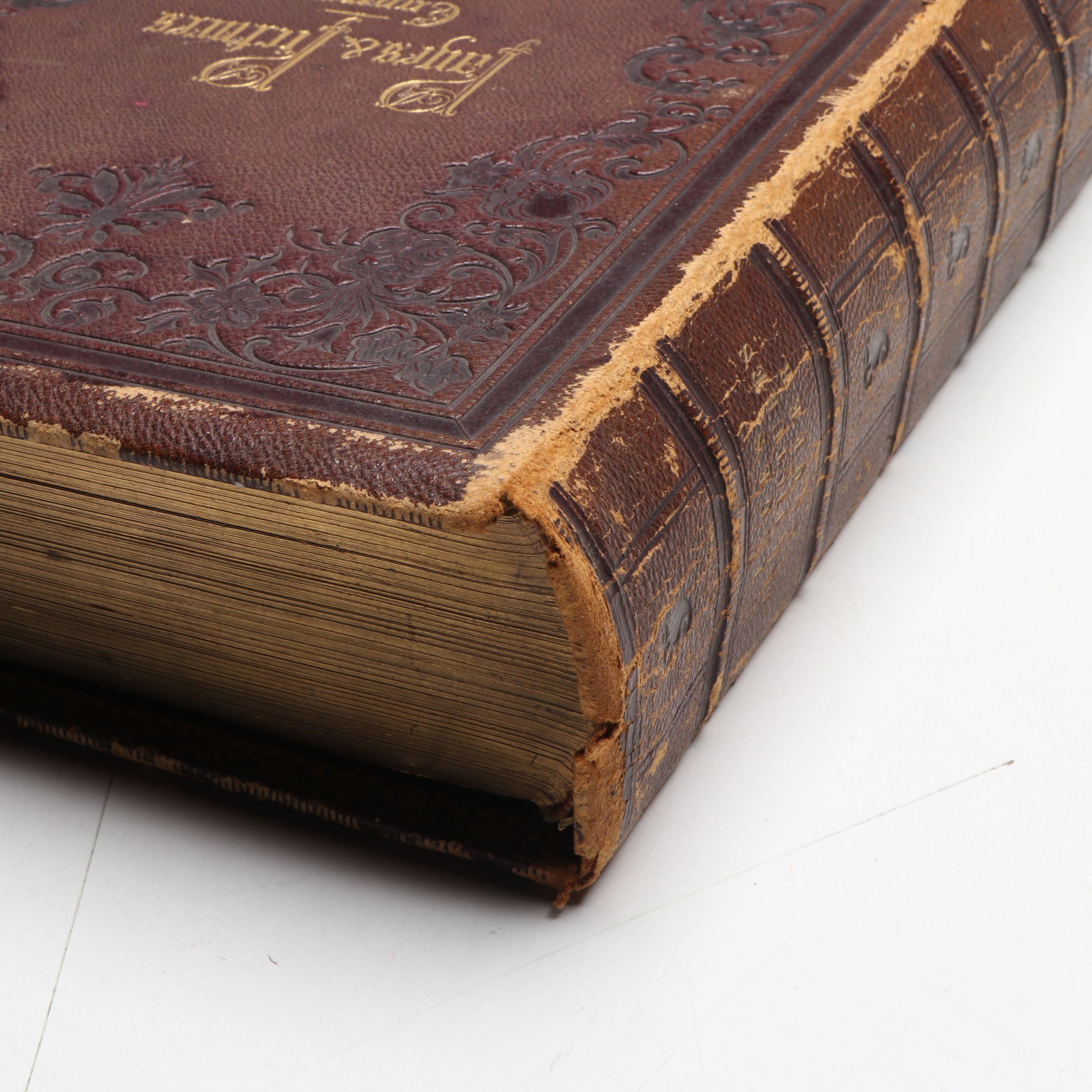 "Page and Pictures" by Susan Fenimore Cooper, 1865