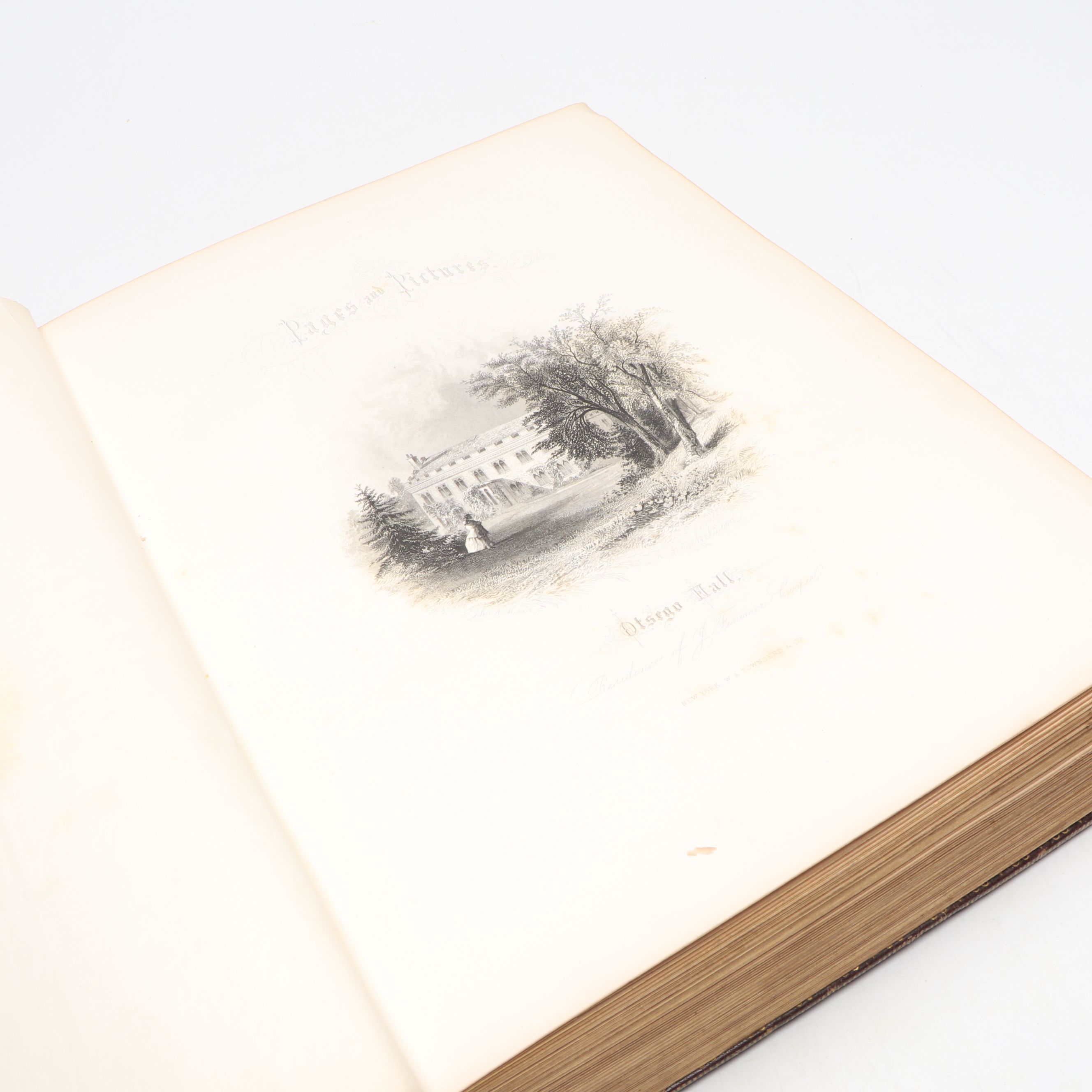 "Page and Pictures" by Susan Fenimore Cooper, 1865