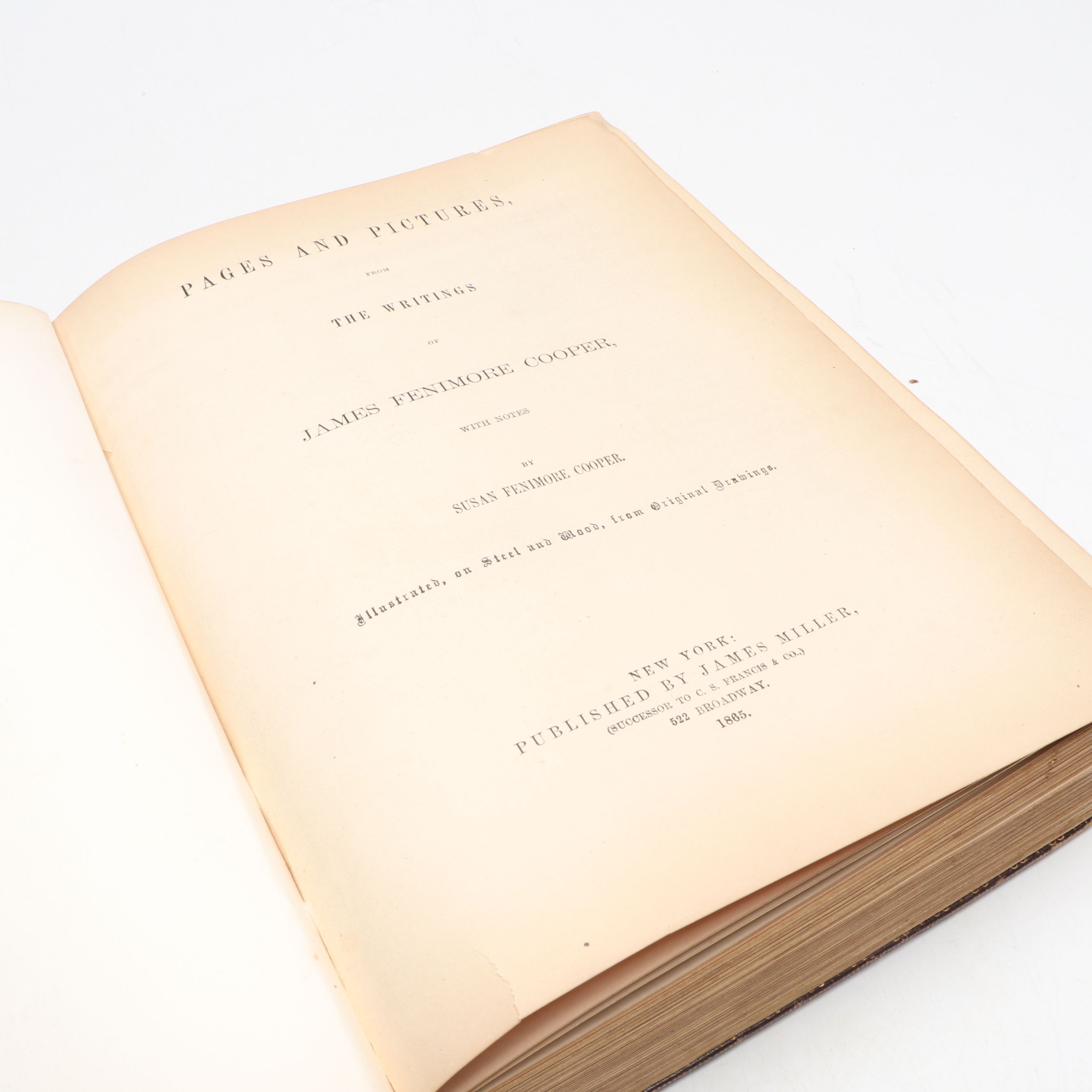 "Page and Pictures" by Susan Fenimore Cooper, 1865