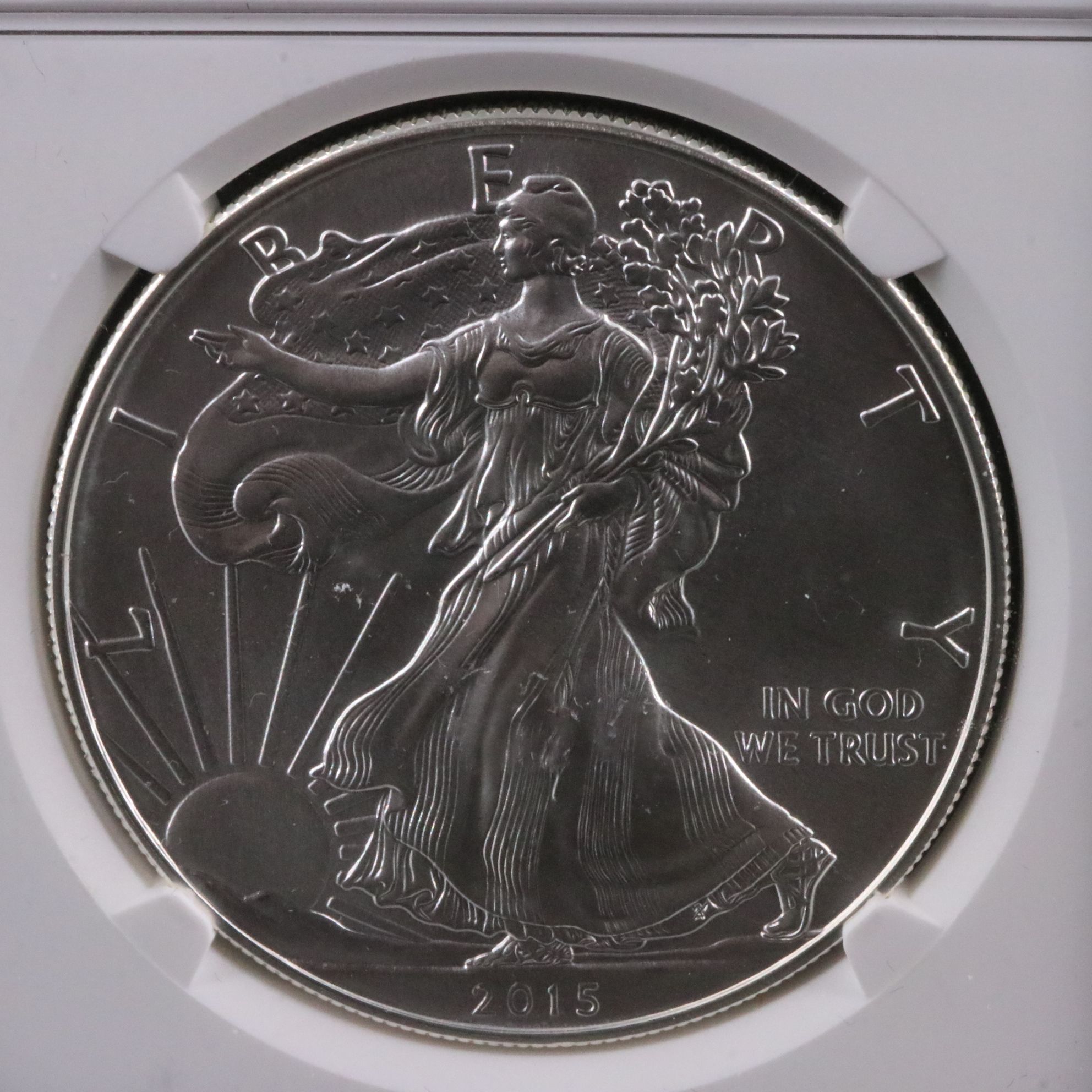 NGC Graded MS70 2015 $1 American Silver Eagle