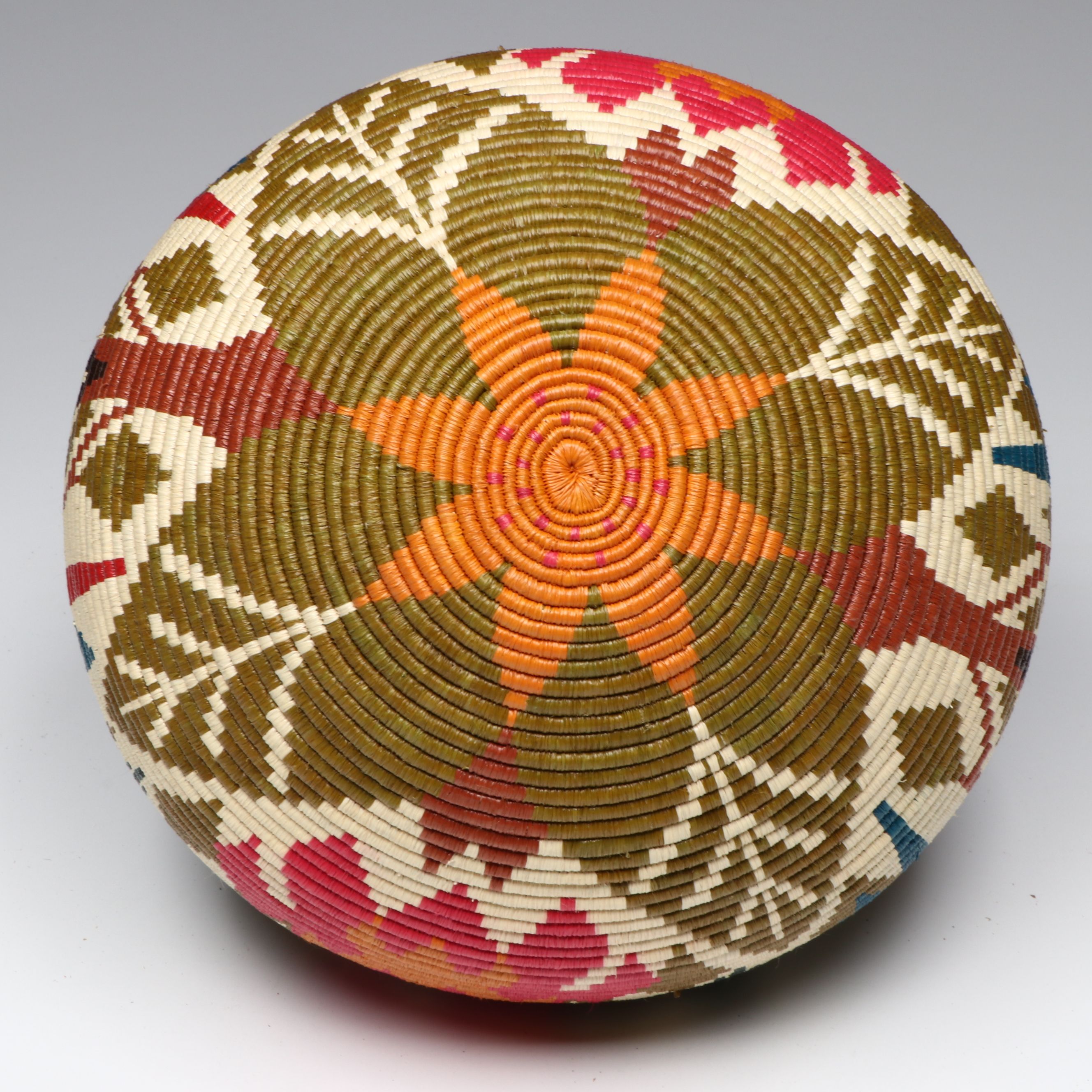 Darien Rainforest Emberá-Wounaan Polychrome Baskets Depicting Tropical Birds