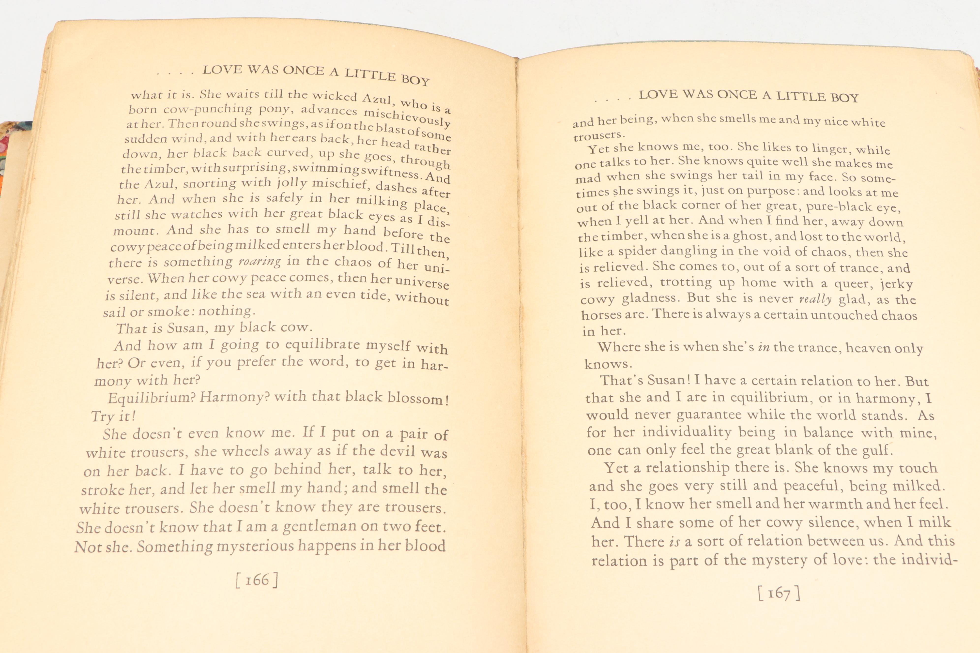 "Reflections on the Death of a Porcupine" by D. H. Lawrence, 1925