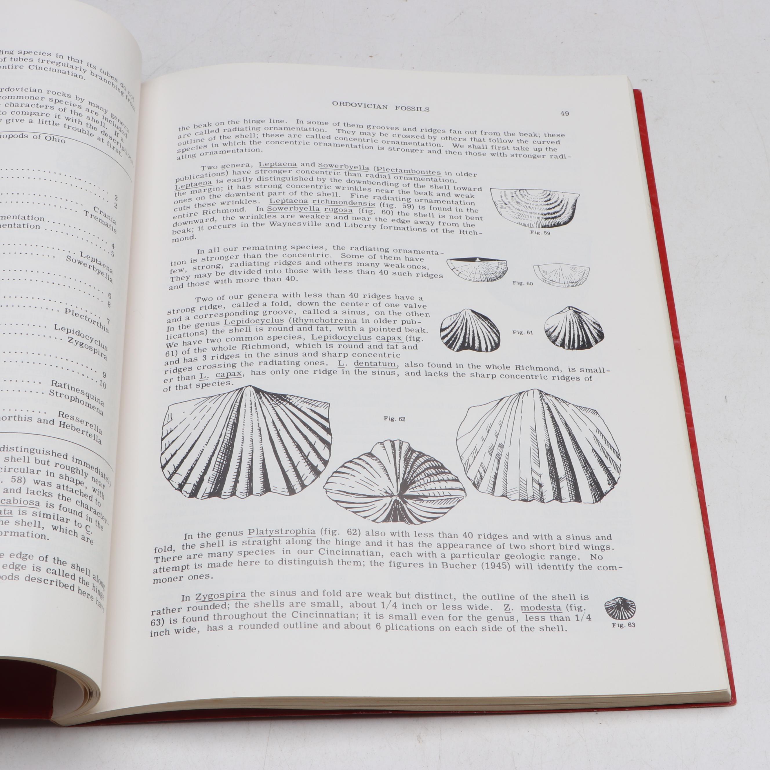 "The Cincinnati Post" with Other Newspapers and Ephemera, Mid to Late 20th C.