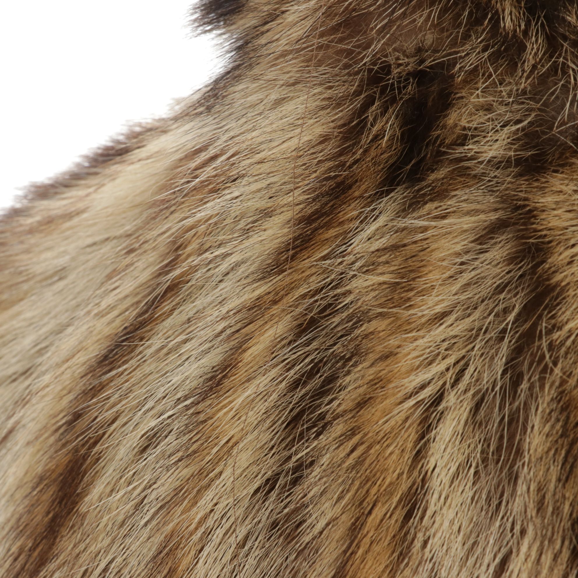 Raccoon Fur Stroller by Kaufmann's, Mid-20th C.