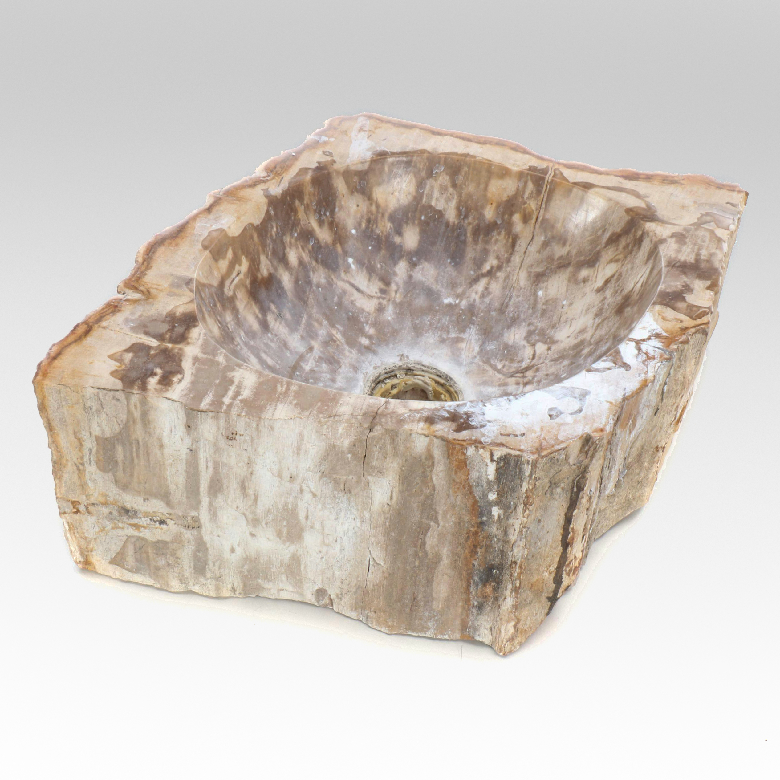 Petrified Wood Carved Sink Basin