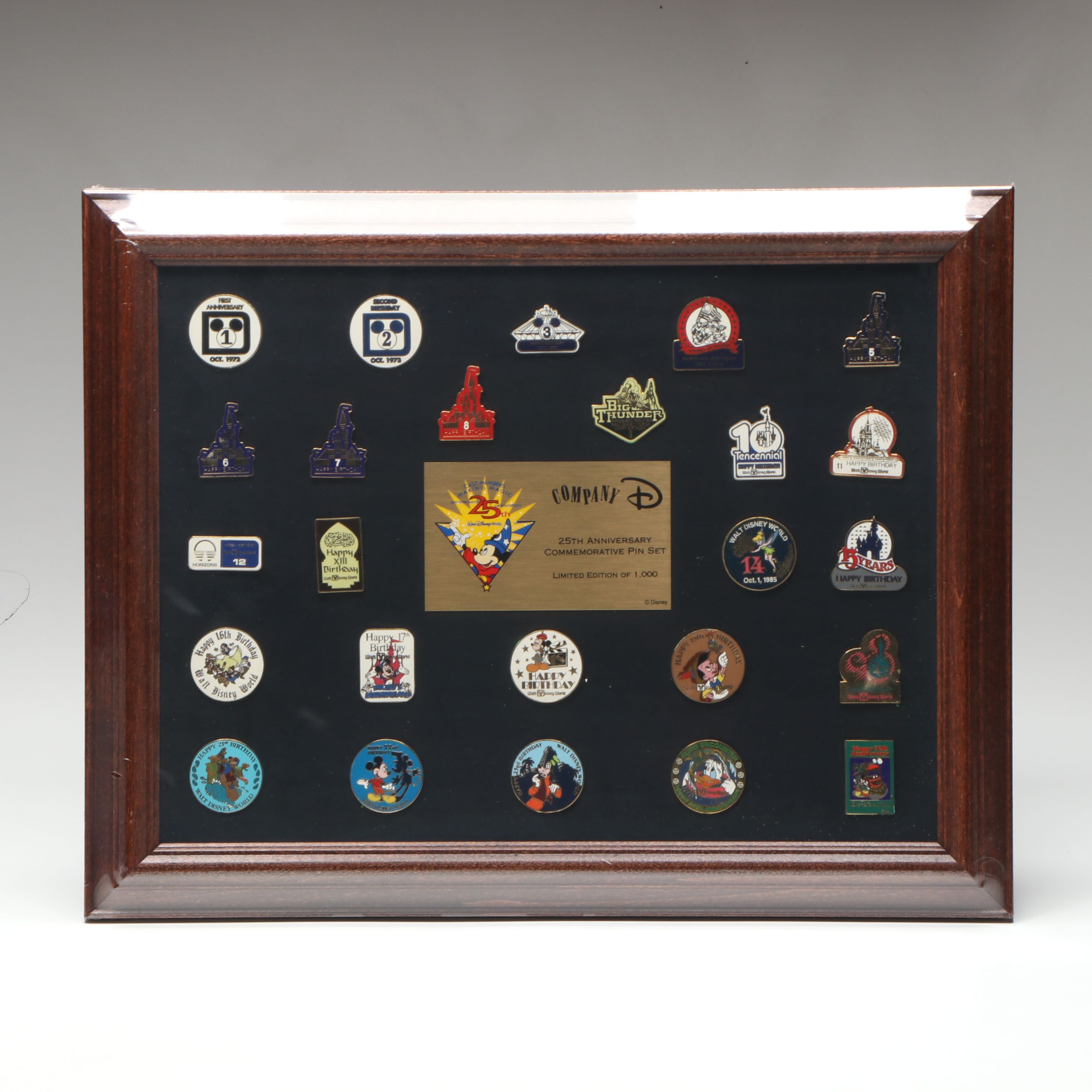 Disneyland and Disney World Commemorative Pin Sets