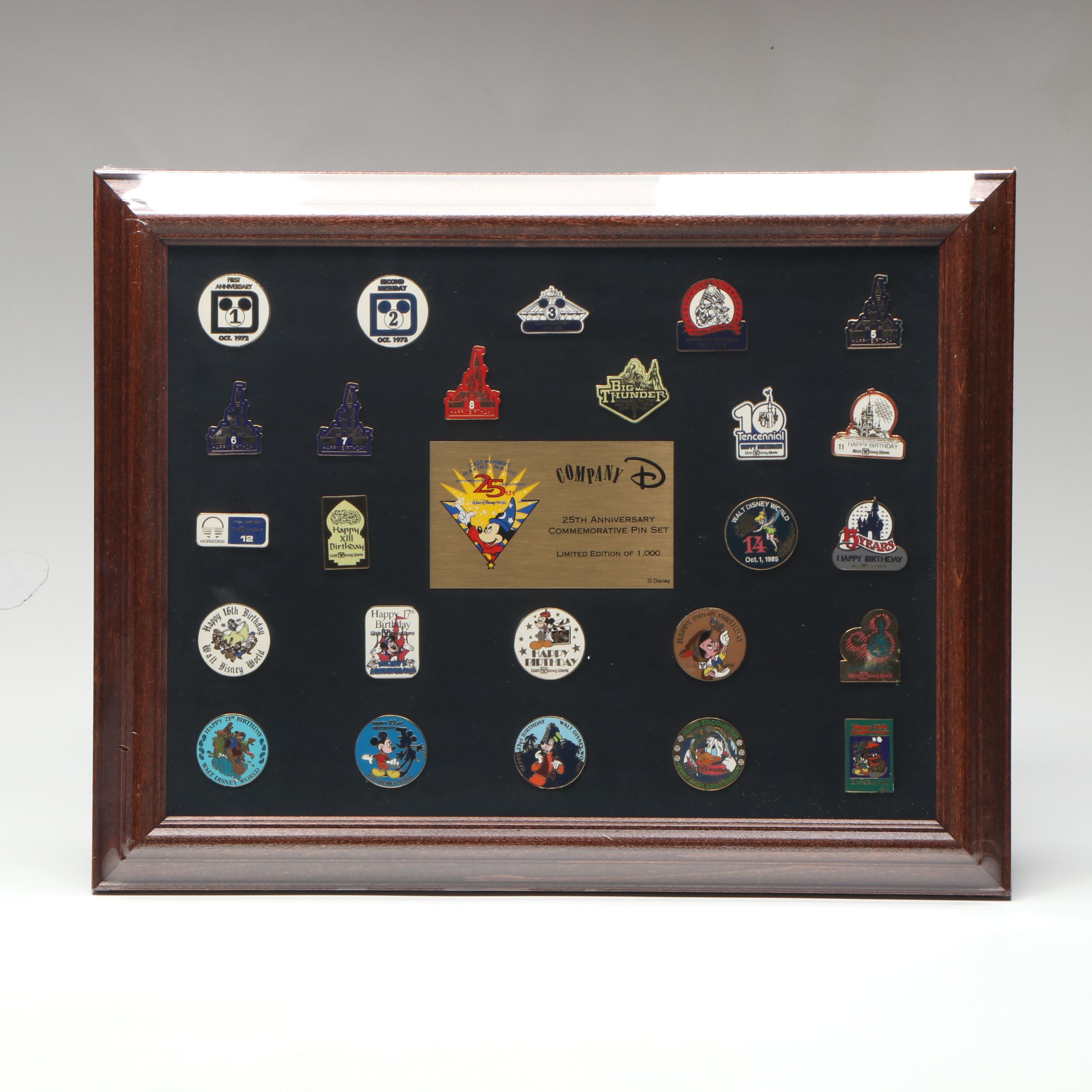 Disneyland and Disney World Commemorative Pin Sets