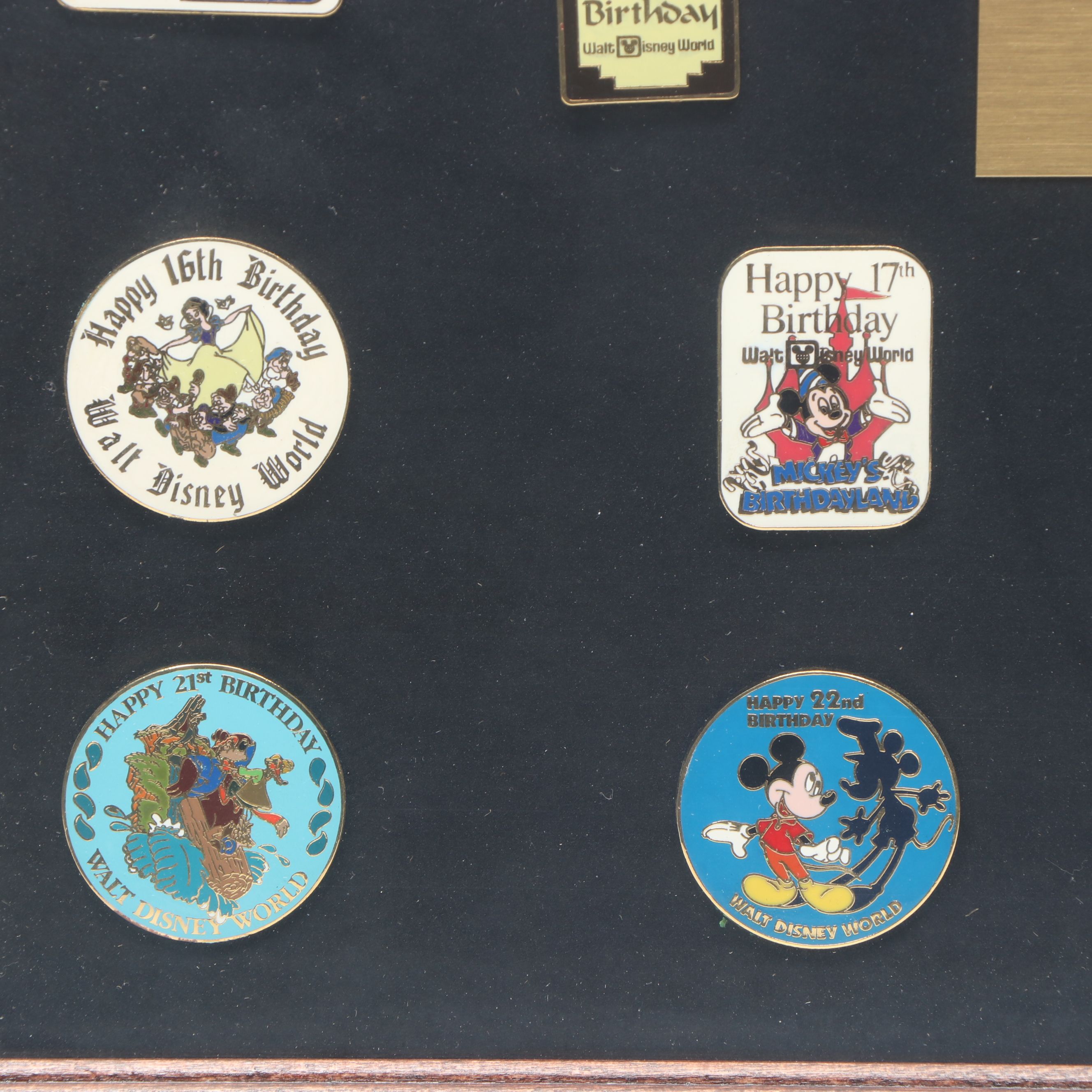 Disneyland and Disney World Commemorative Pin Sets