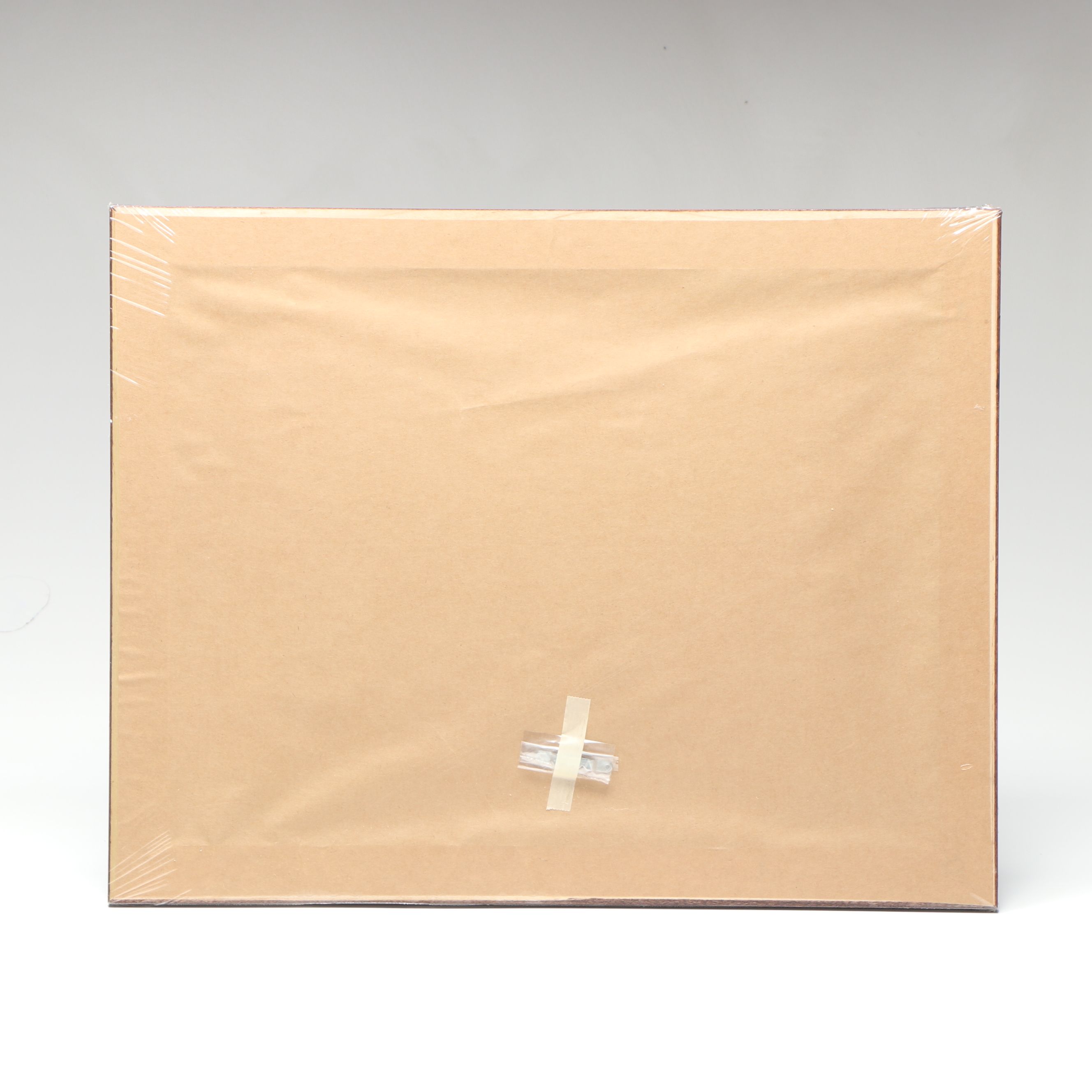 Disneyland and Disney World Commemorative Pin Sets