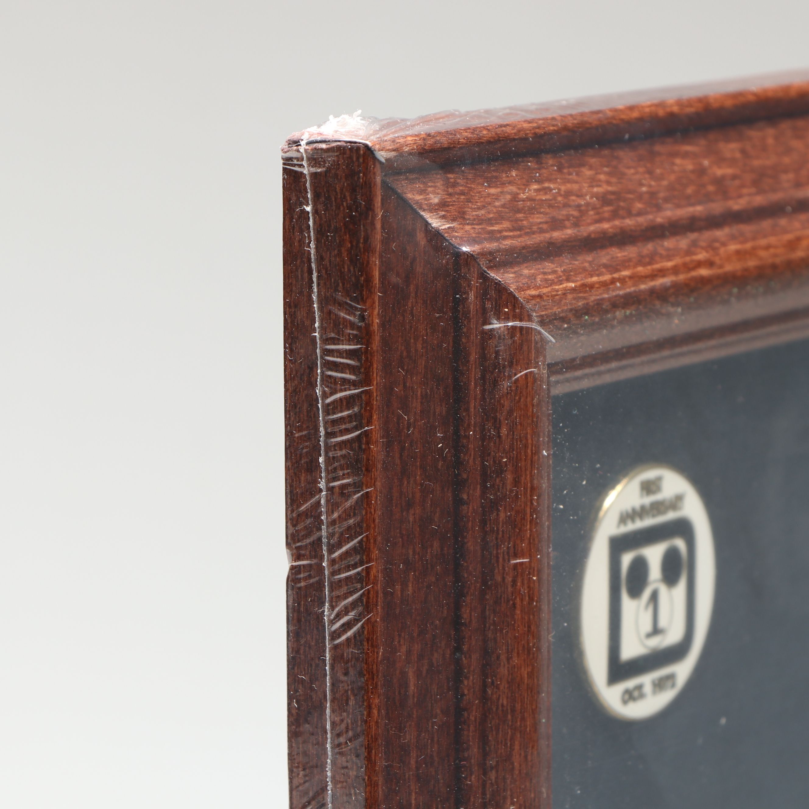 Disneyland and Disney World Commemorative Pin Sets