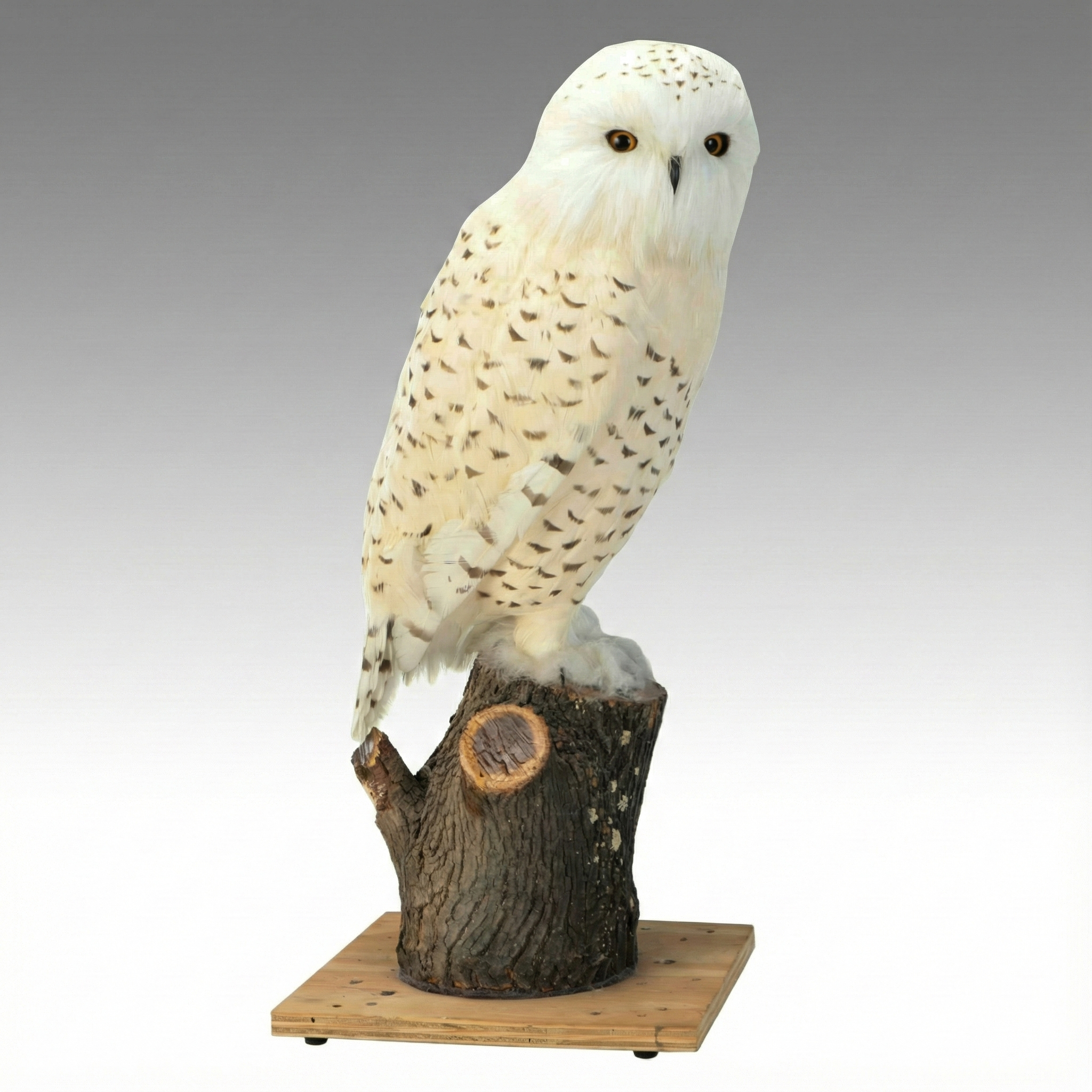 Don Griffiths Snowy Owl Replica Sculpture