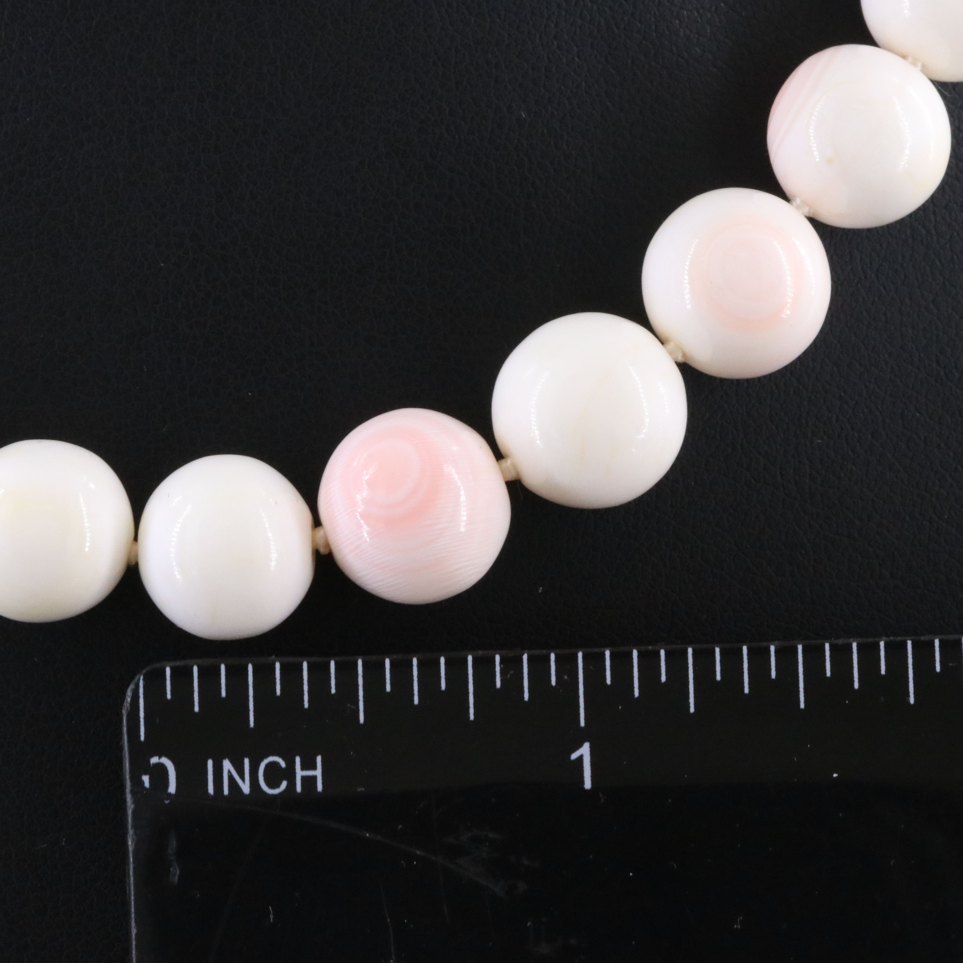 Shell Bead Necklace with 14K Clasp