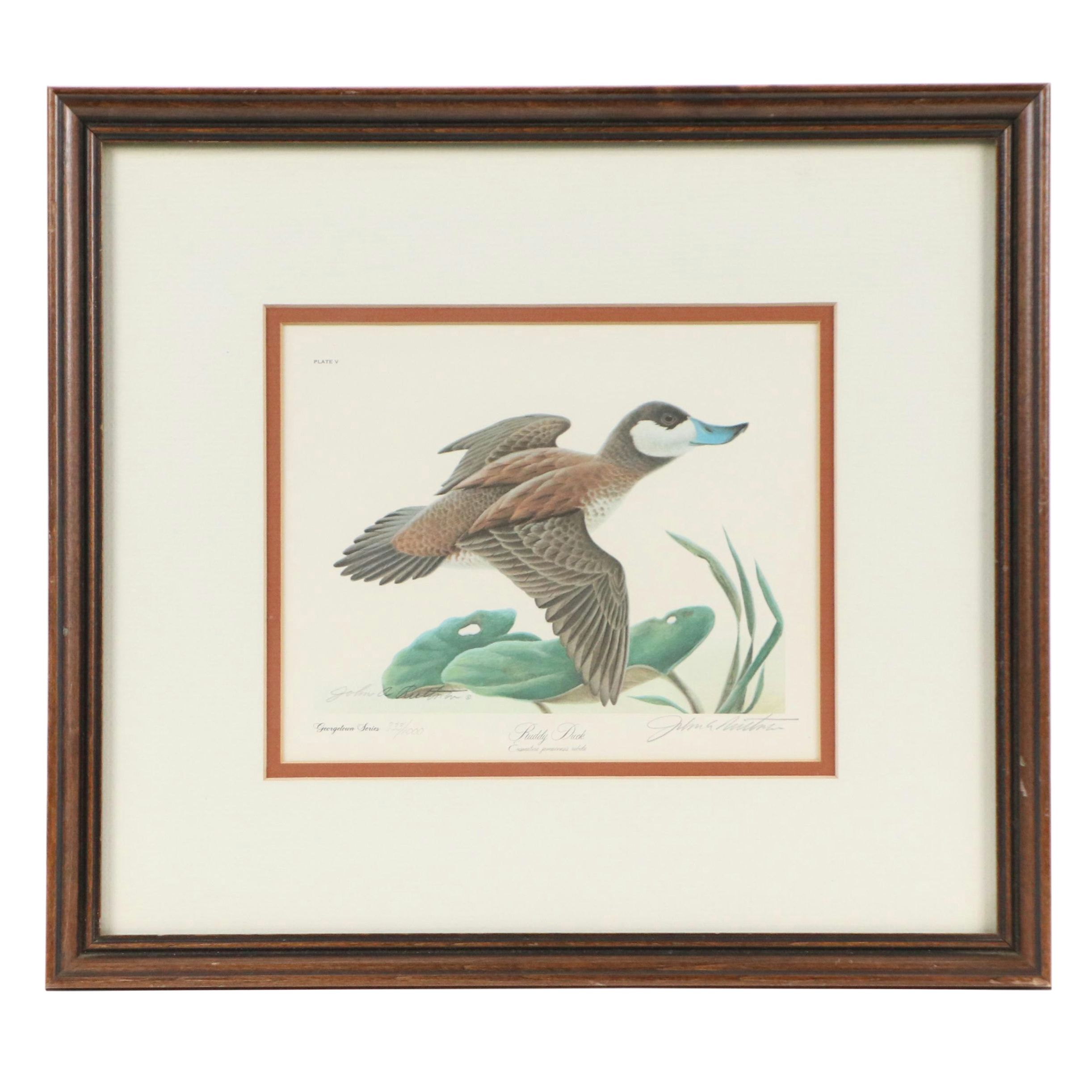 John A. Ruthven Offset Lithograph "Ruddy Duck," 1979