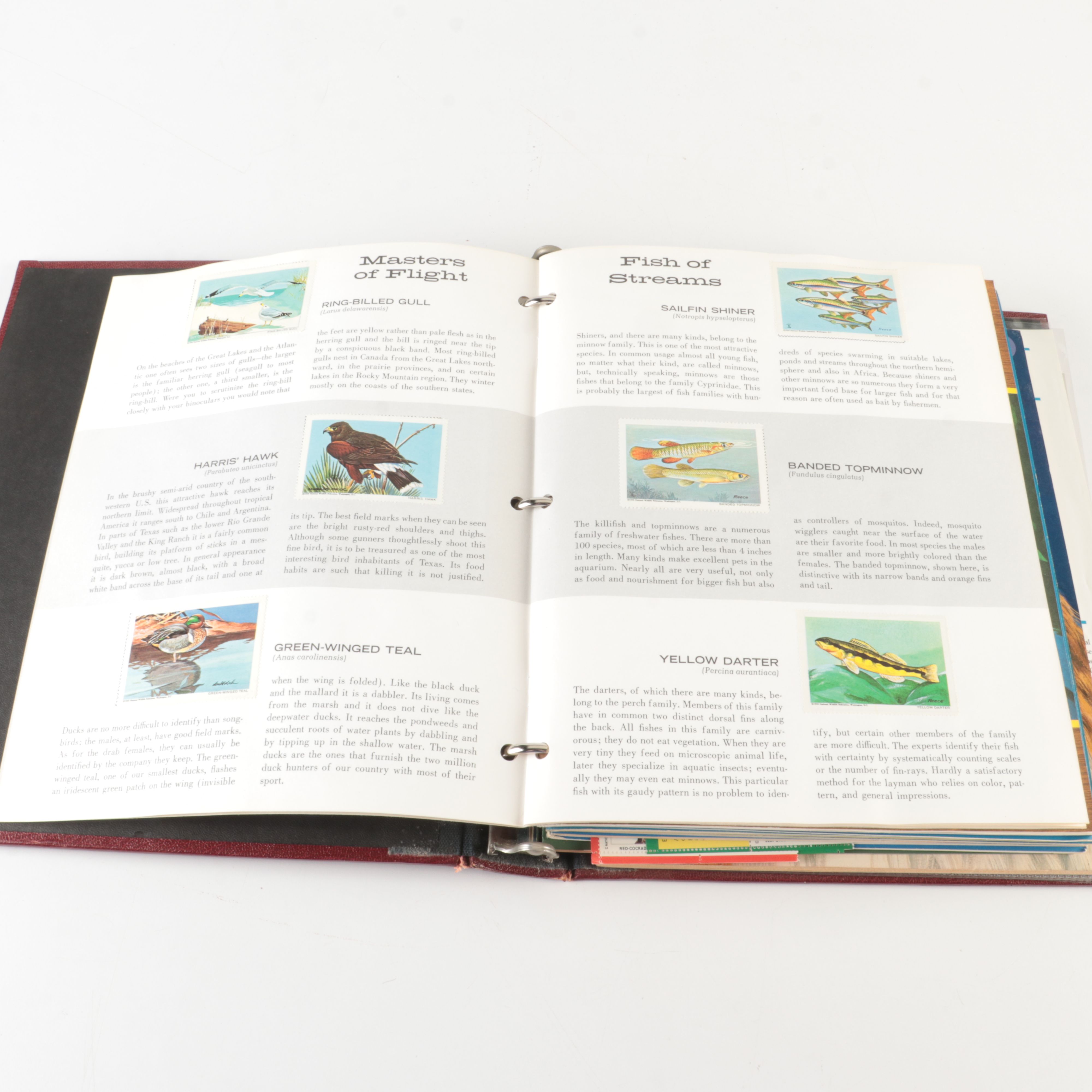 Four U.S. Postage Stamp Albums, Including First Day Panels and More