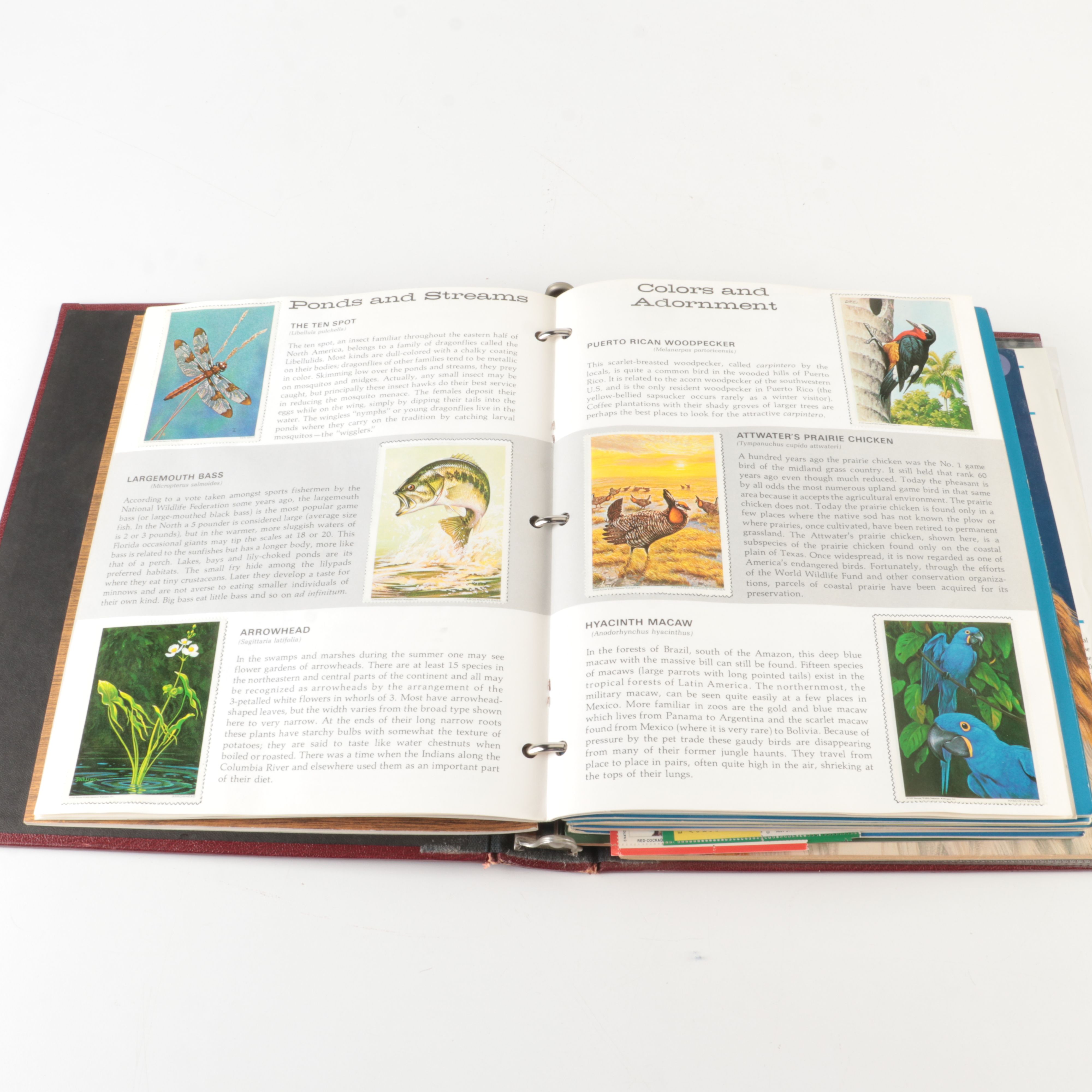 Four U.S. Postage Stamp Albums, Including First Day Panels and More