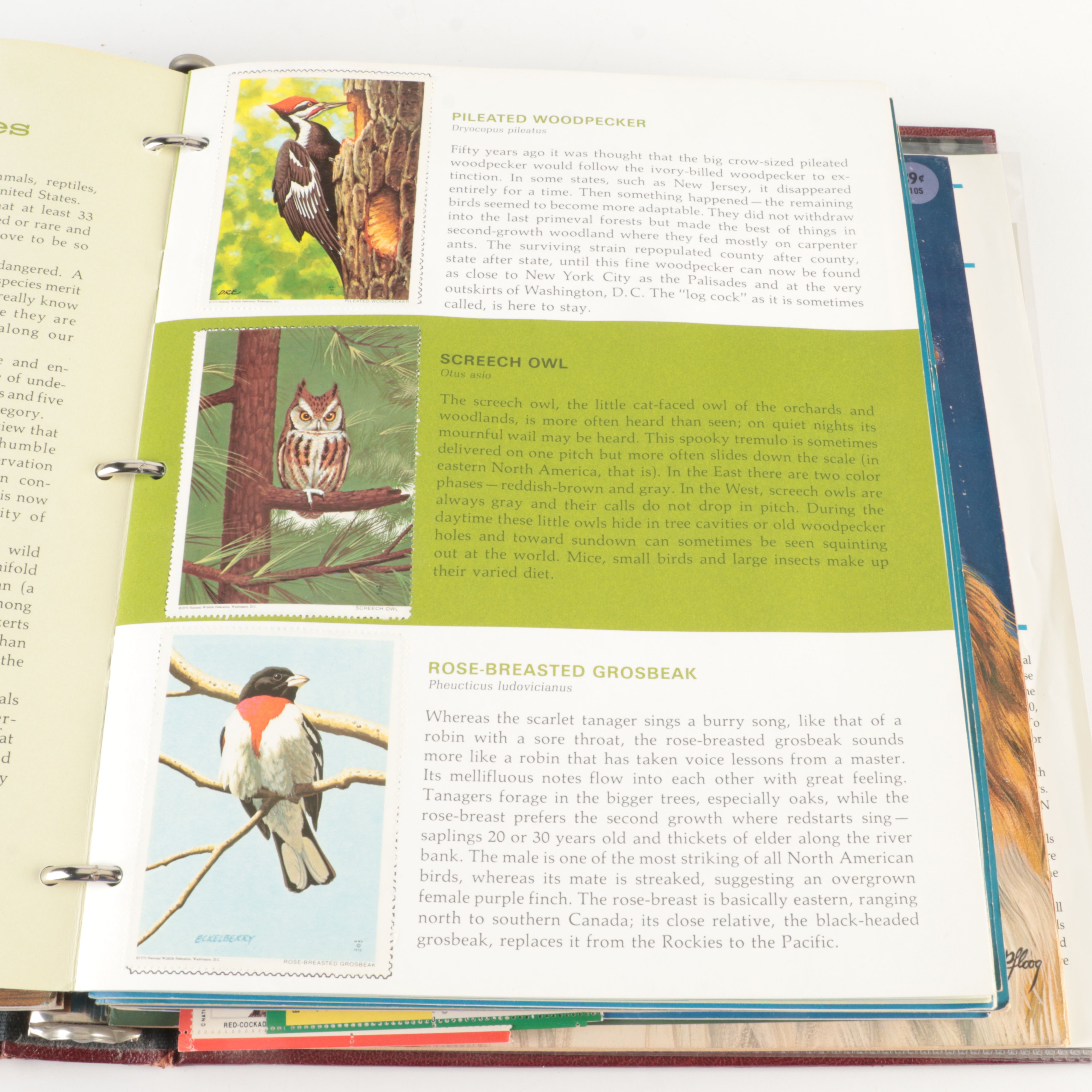 Four U.S. Postage Stamp Albums, Including First Day Panels and More