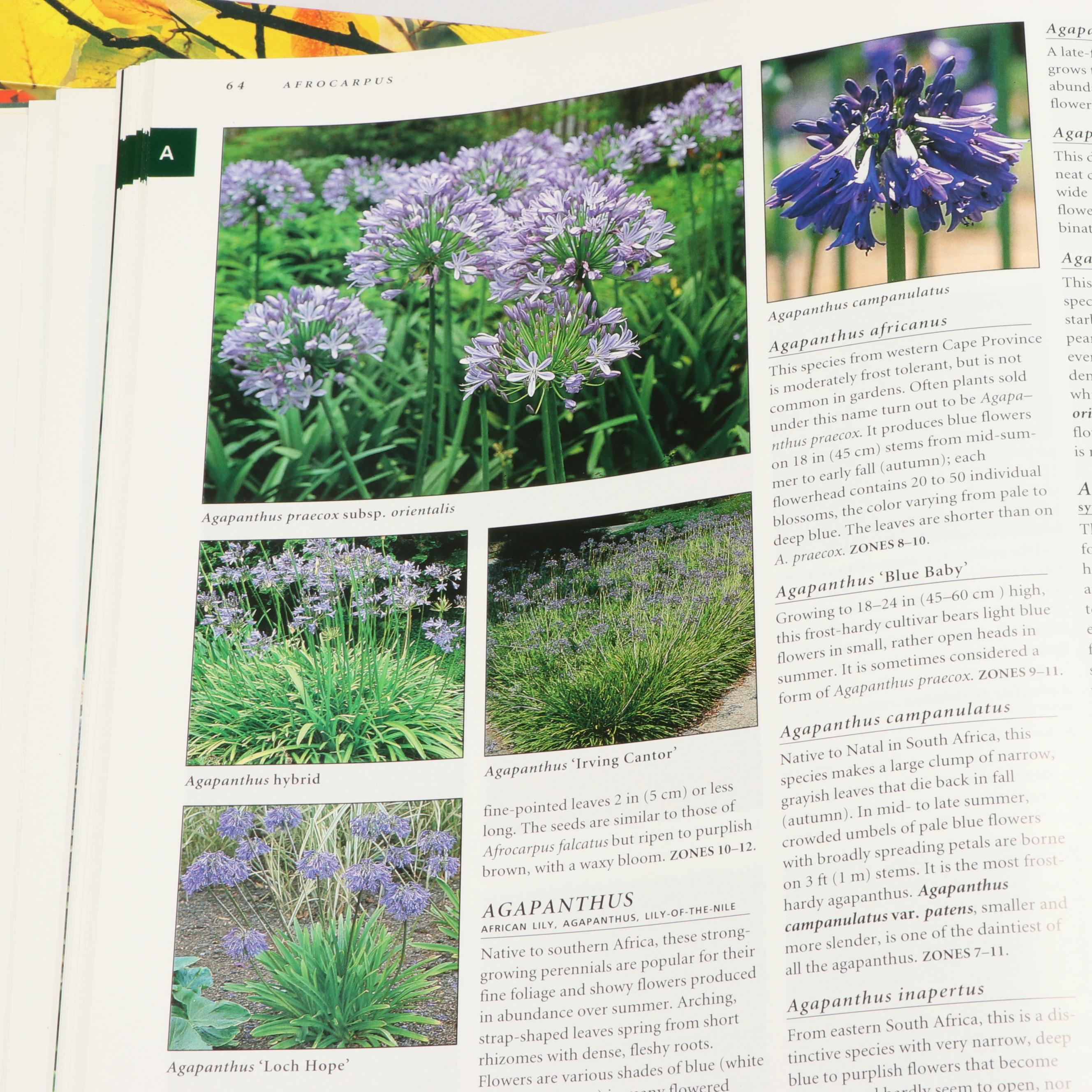 Third Edition "Botanica" by Geoff Burnie et al. and More Gardening Books