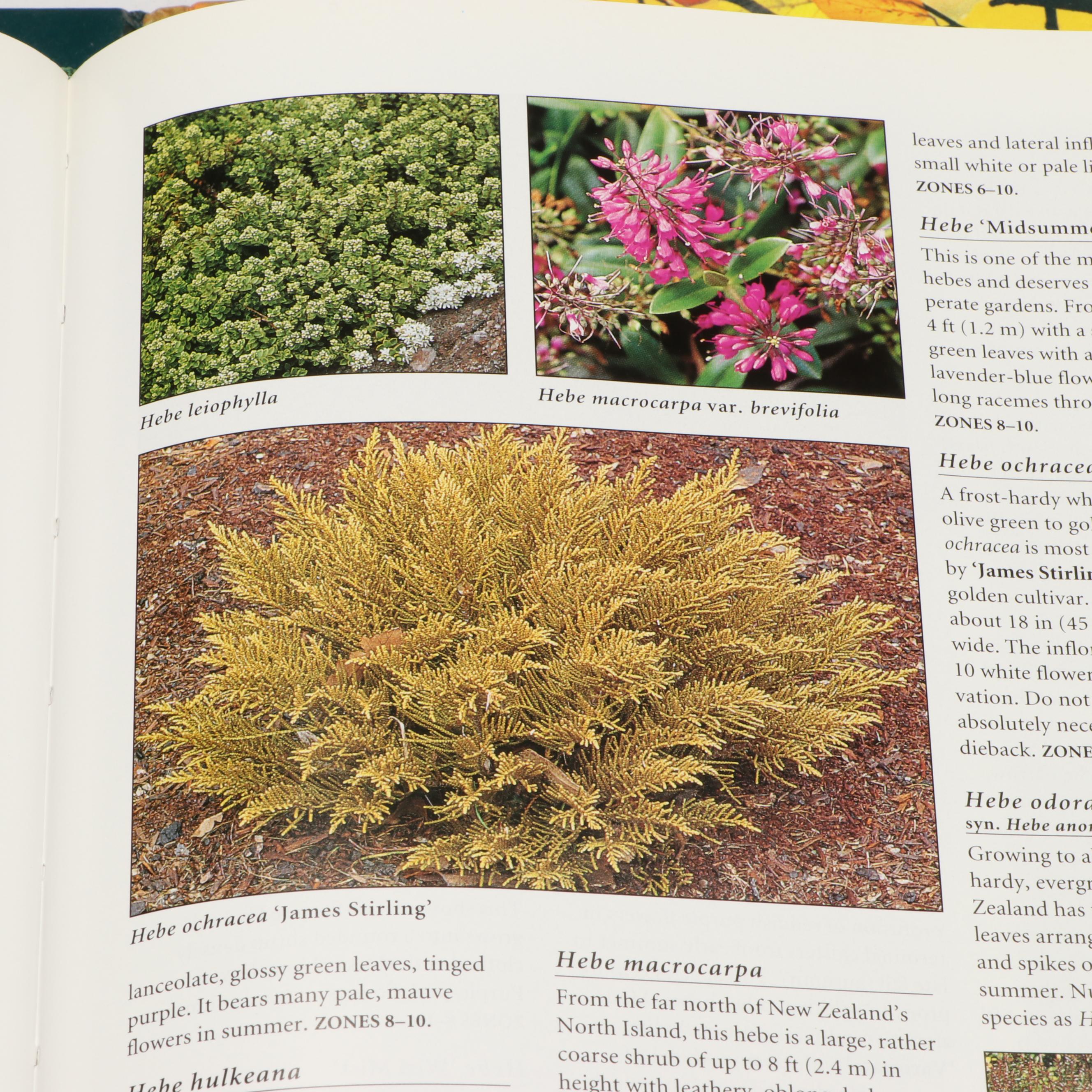 Third Edition "Botanica" by Geoff Burnie et al. and More Gardening Books