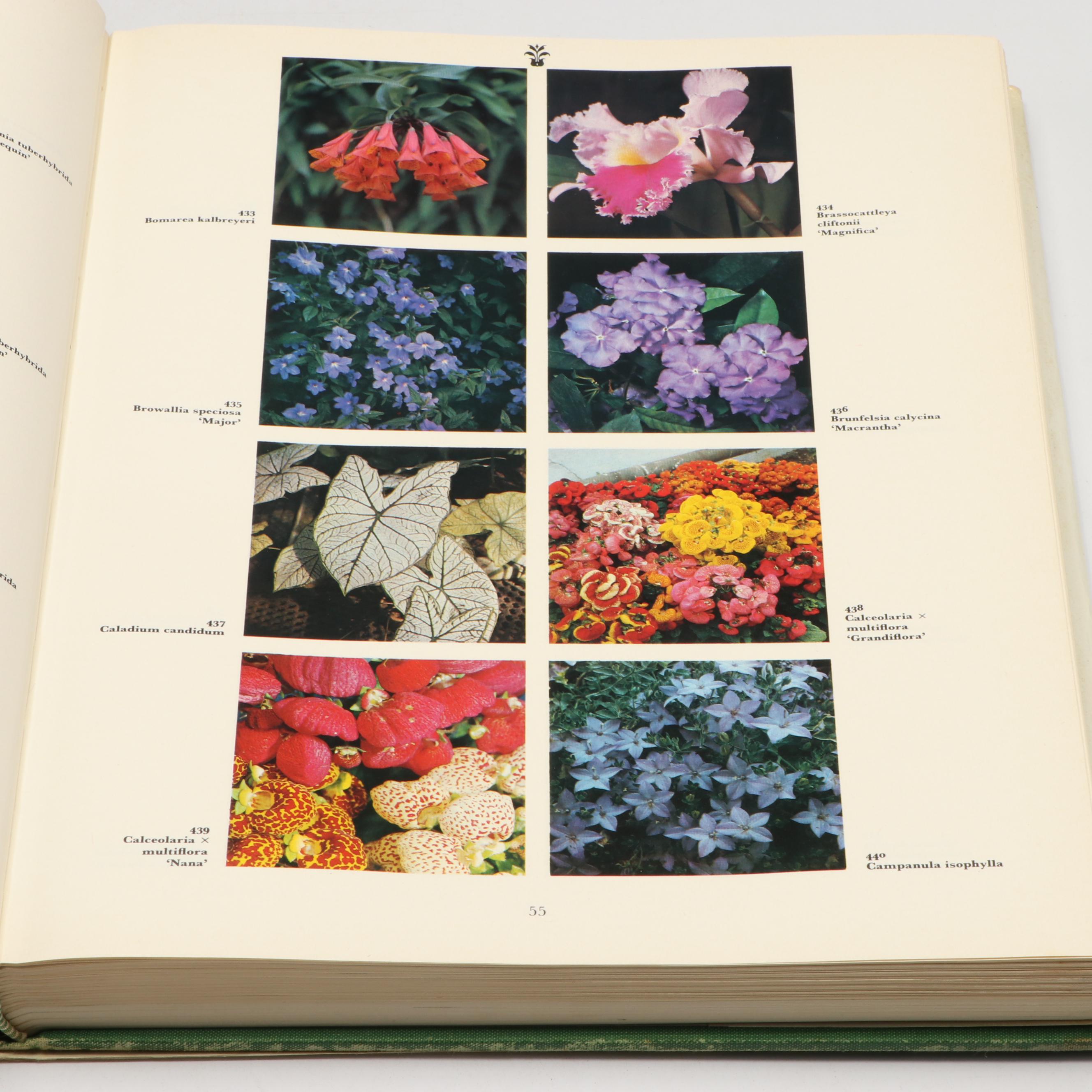 Third Edition "Botanica" by Geoff Burnie et al. and More Gardening Books