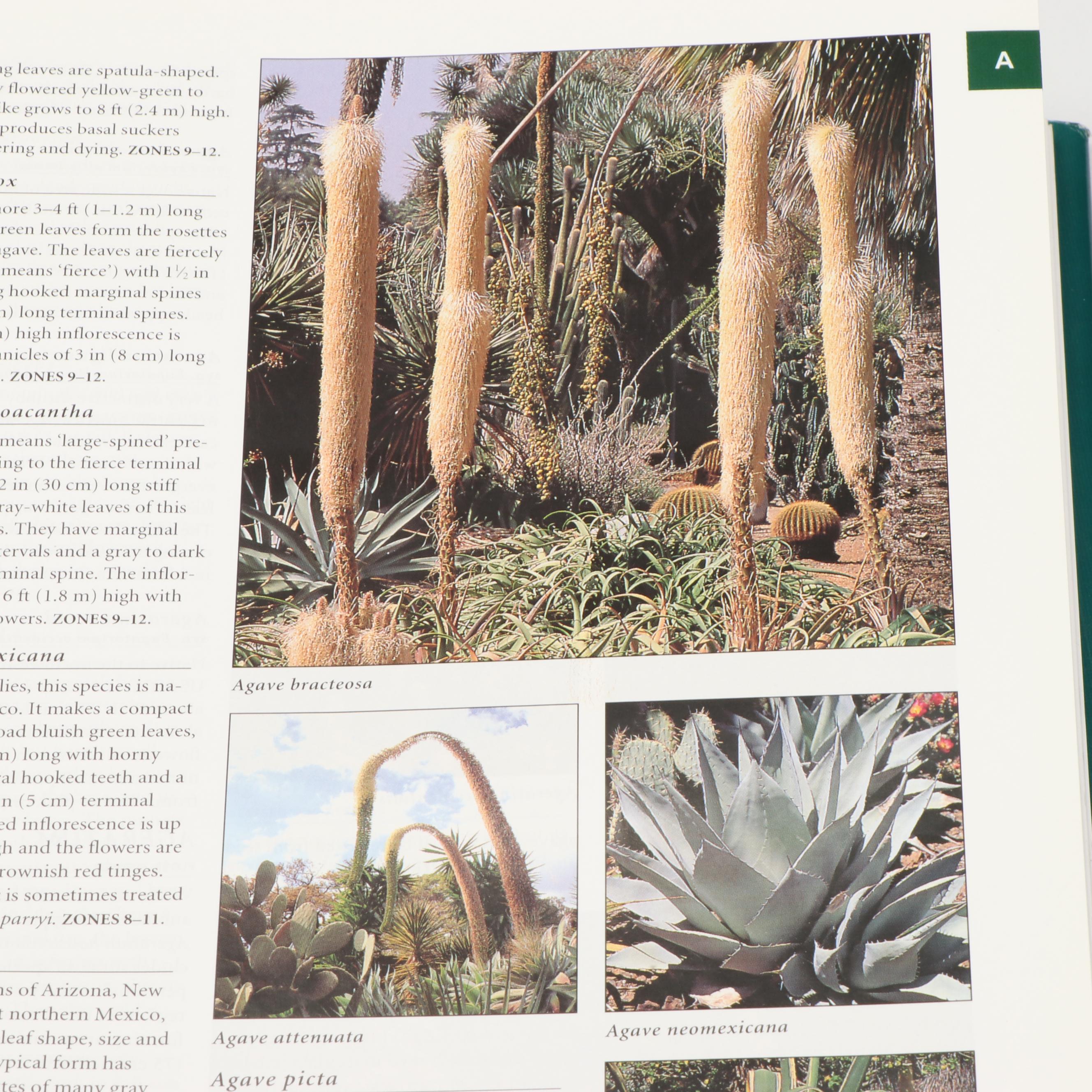 Third Edition "Botanica" by Geoff Burnie et al. and More Gardening Books