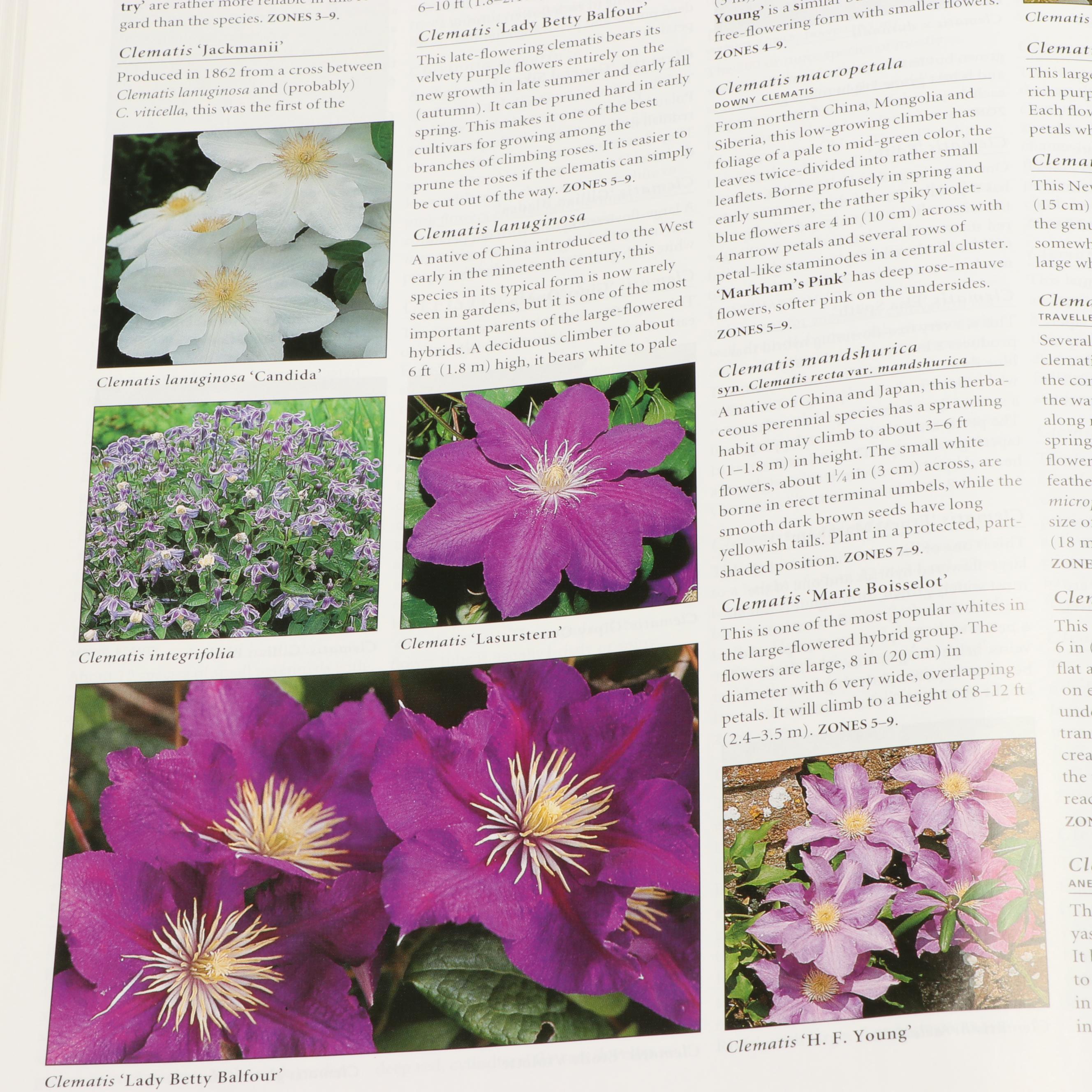 Third Edition "Botanica" by Geoff Burnie et al. and More Gardening Books