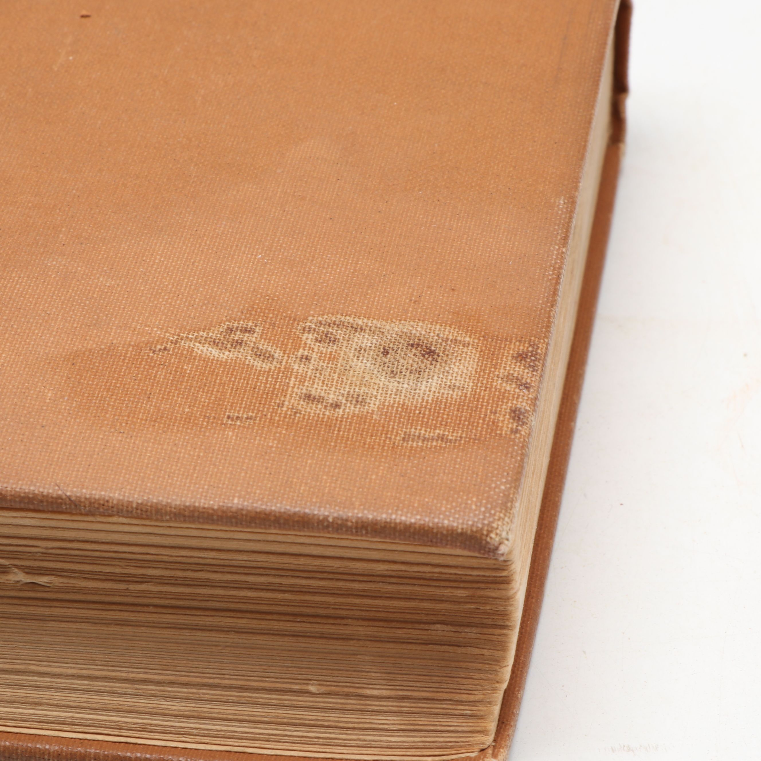 "Pride and Prejudice," "Shirley," "Flower Fables," and More Fiction Books