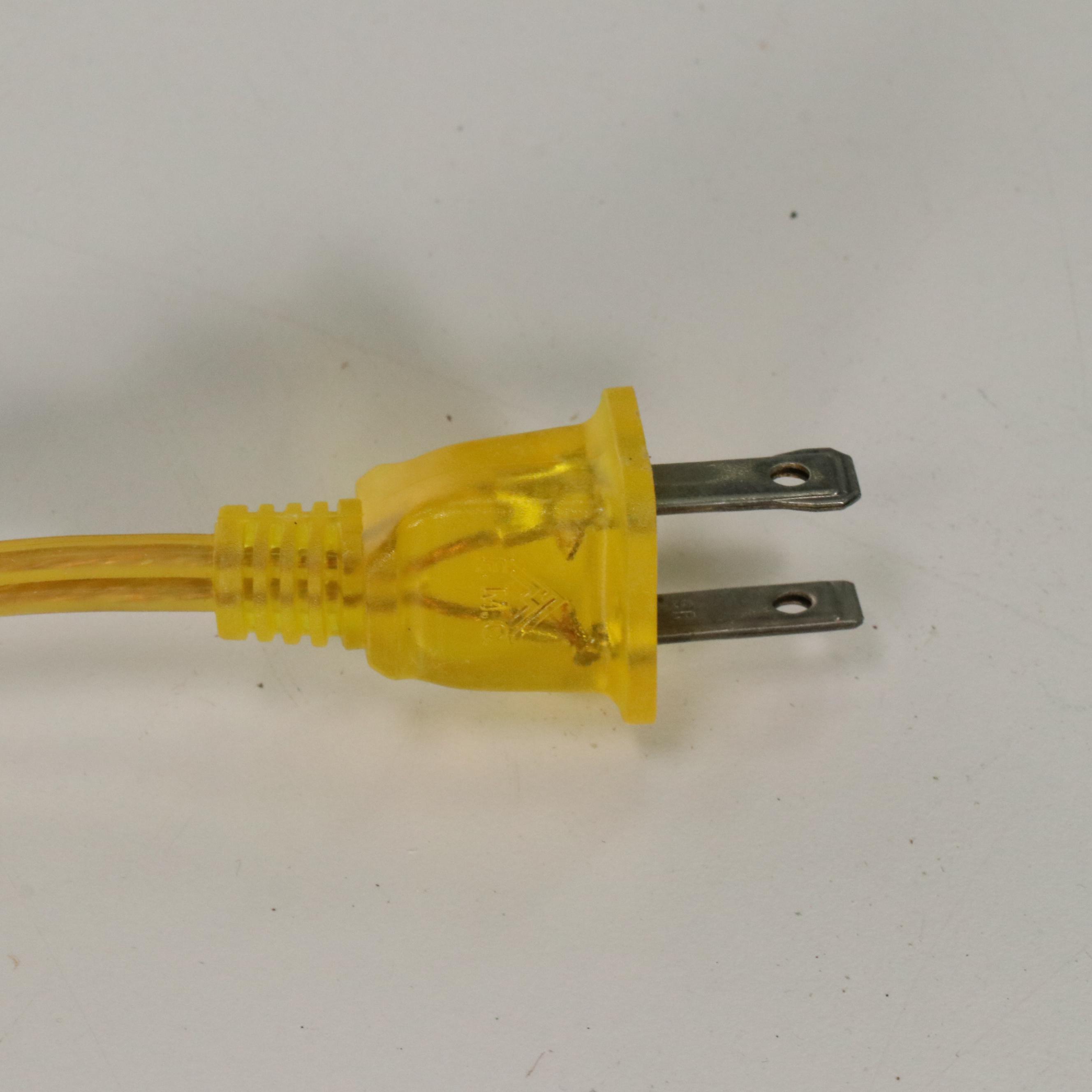 Karen Rogers Hand-Painted Glass Parlor Lamp