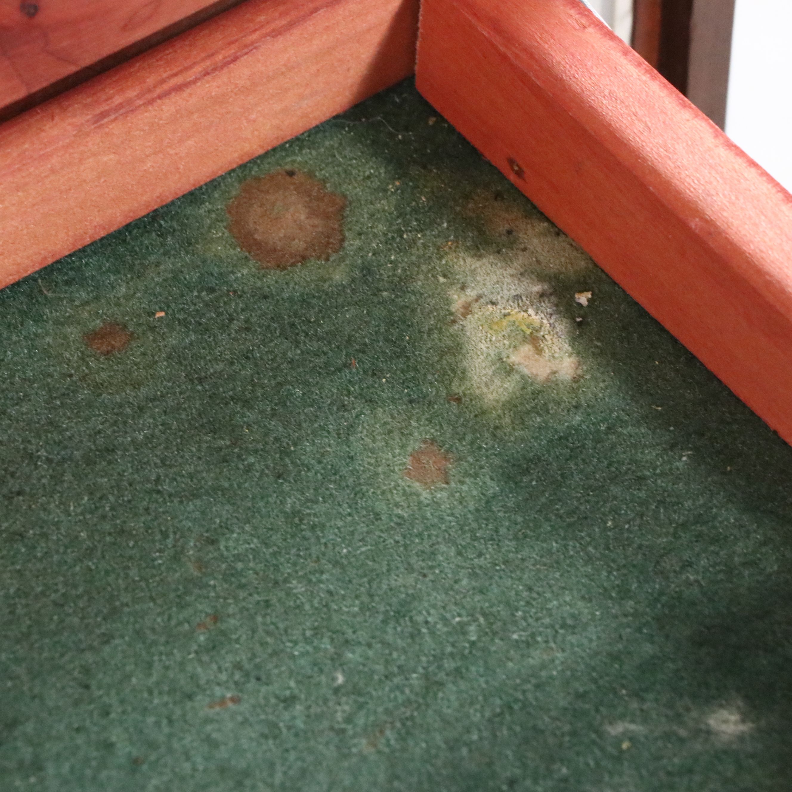 Lane MCM Walnut Blanket Chest with Cedar Interior, 1961