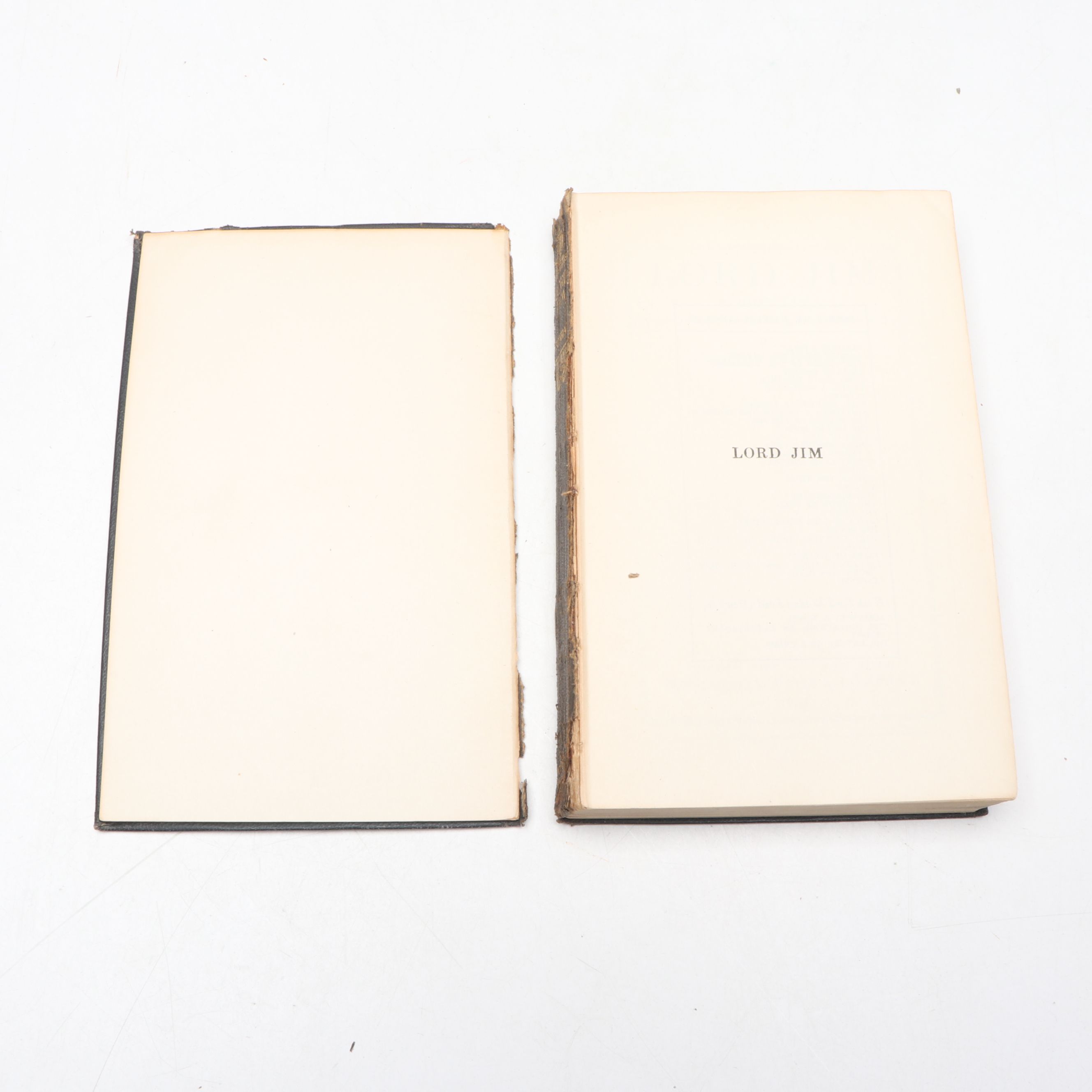 "Adam Bede," "Barnaby Rudge," and More Mixed Genre Books