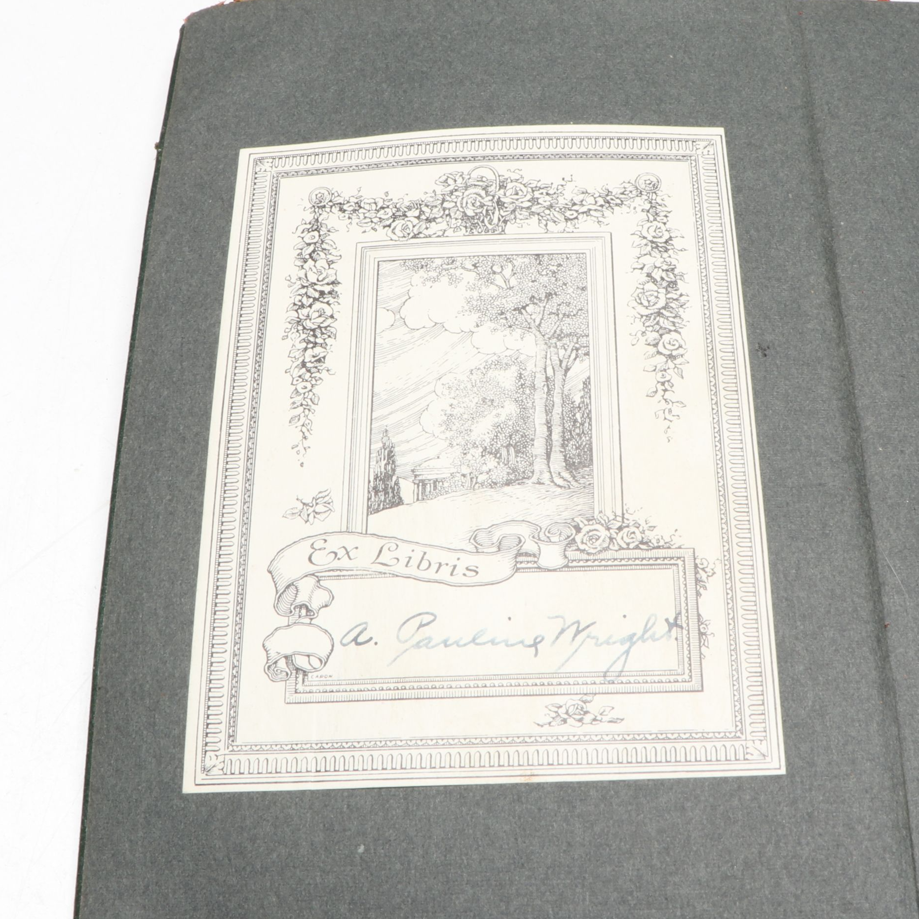 "Adam Bede," "Barnaby Rudge," and More Mixed Genre Books