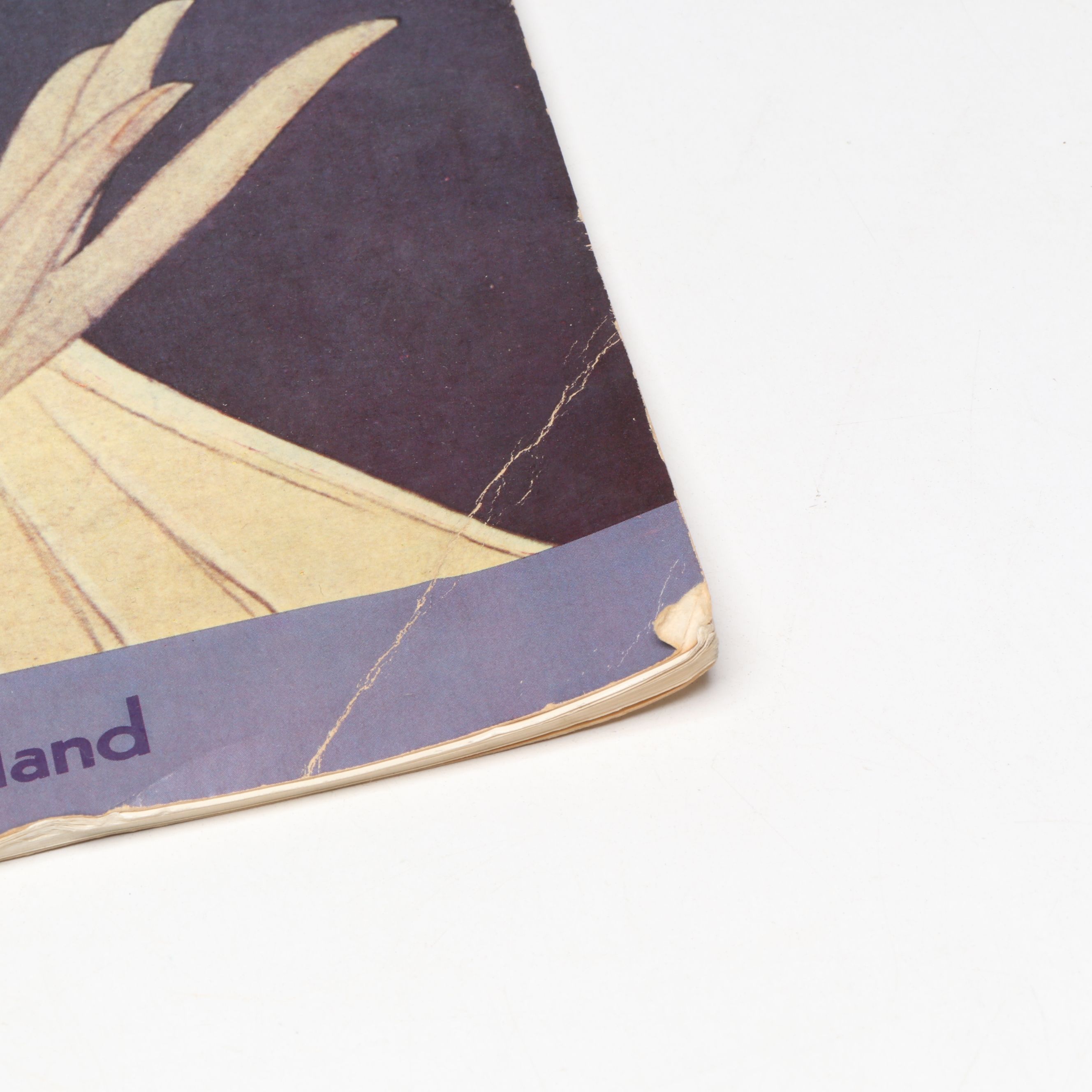 "Vogue Poster Book" by Diana Vreeland, 1975