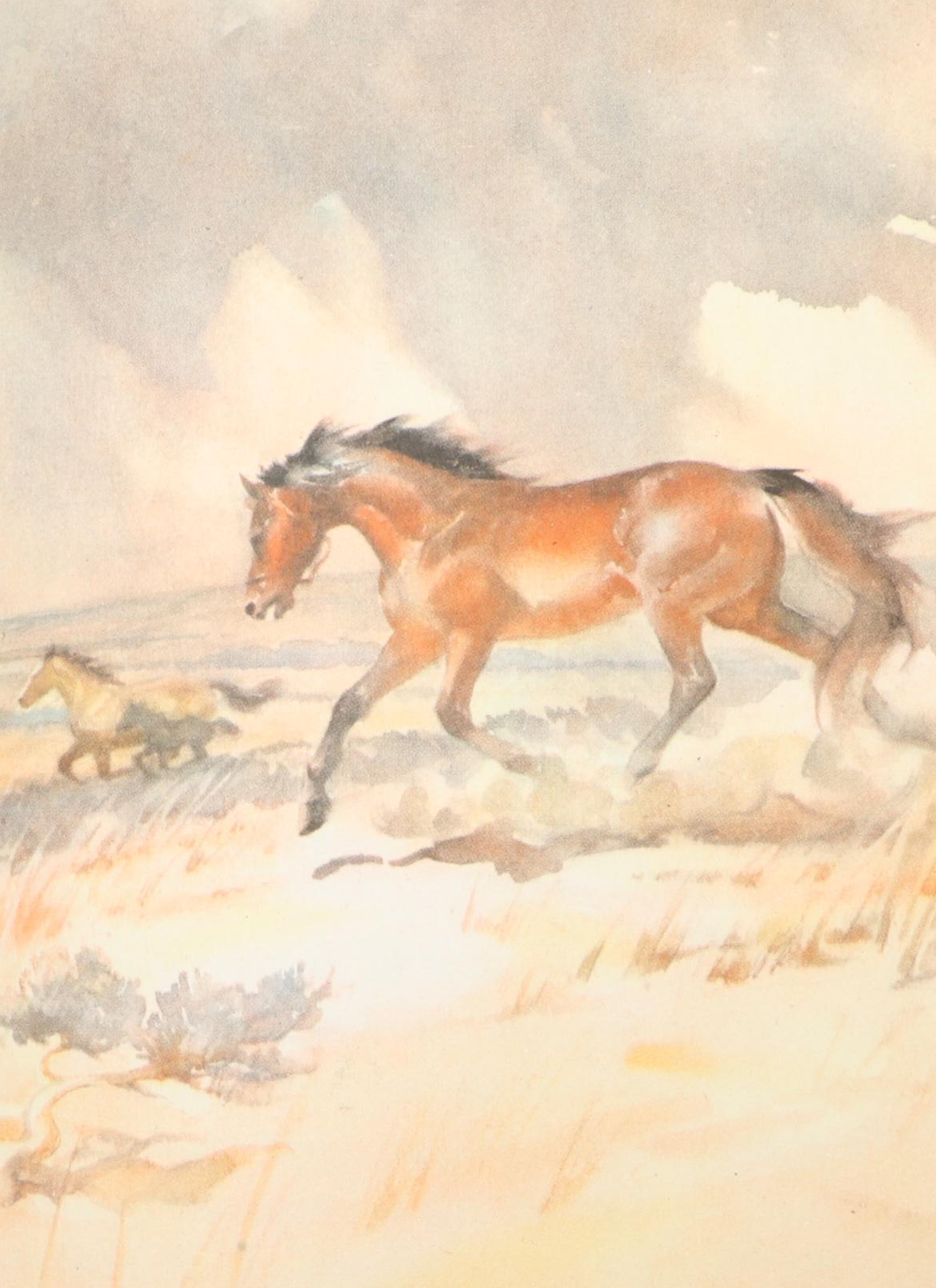 First Illustrated Edition "The Red Pony" by John Steinbeck, 1945