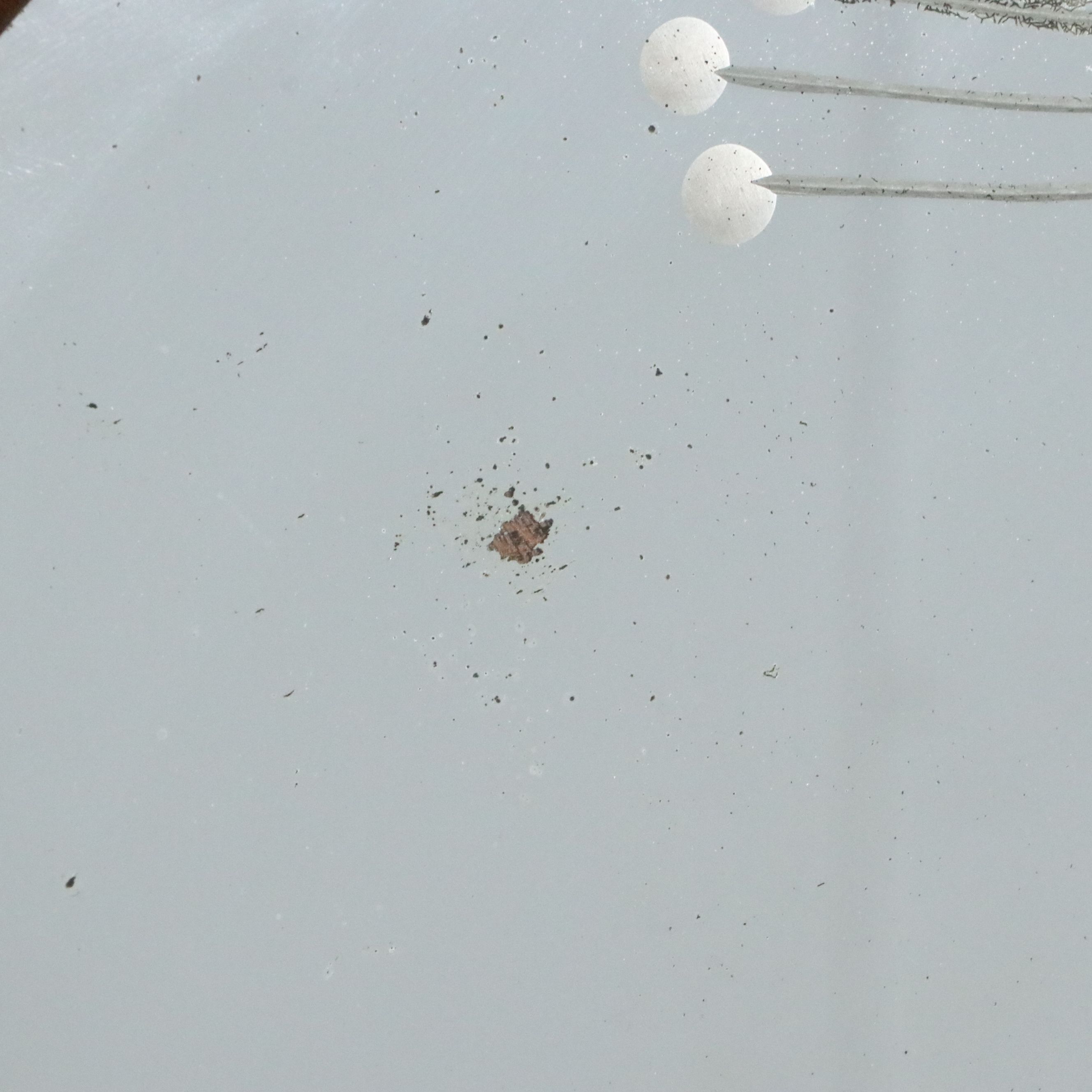 Art Deco Waterfall Front Walnut Vanity with Chair