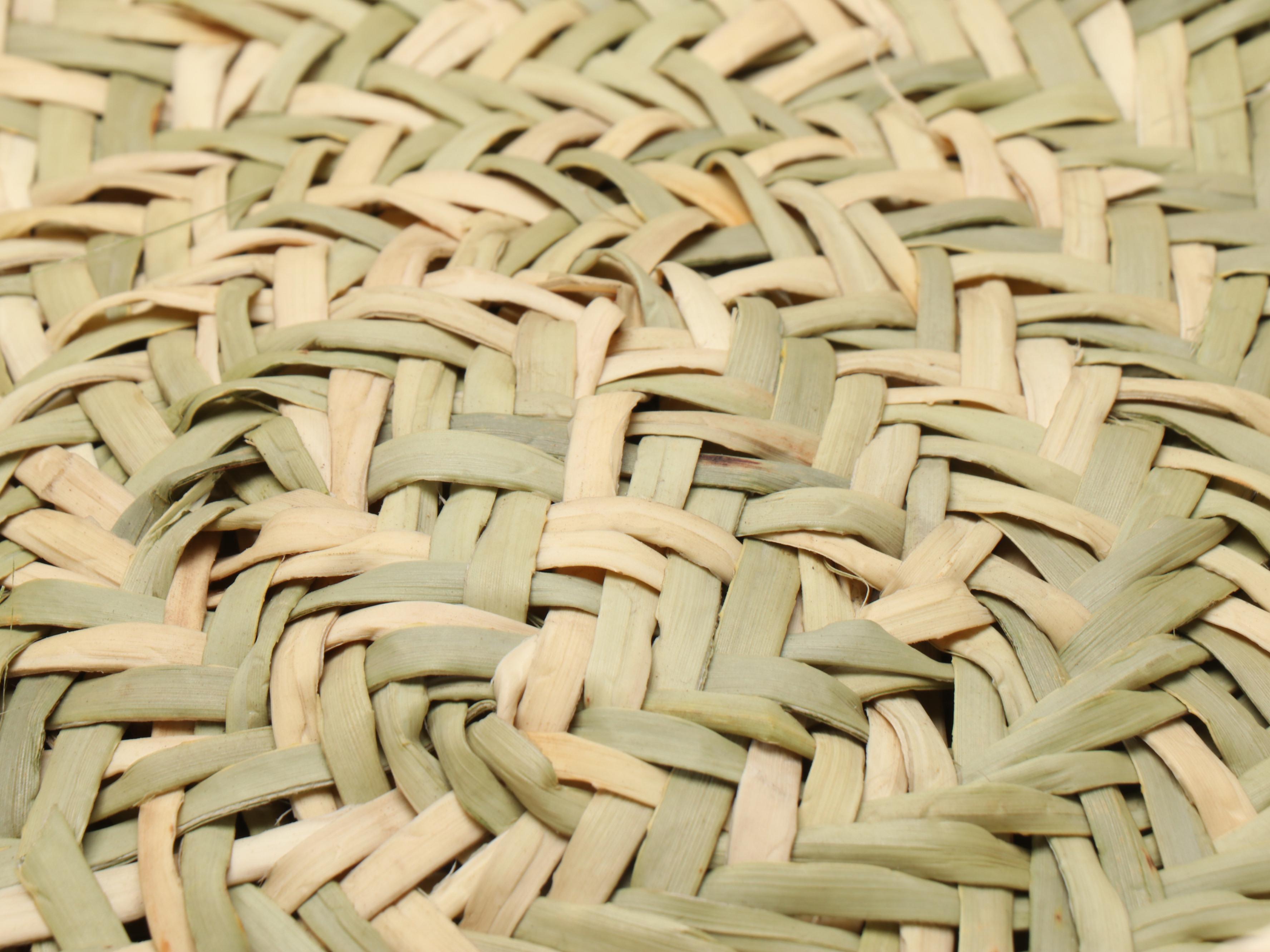Mexican Tarahumara Peoples Tortilla Vessel with Other Woven Beargrass Baskets