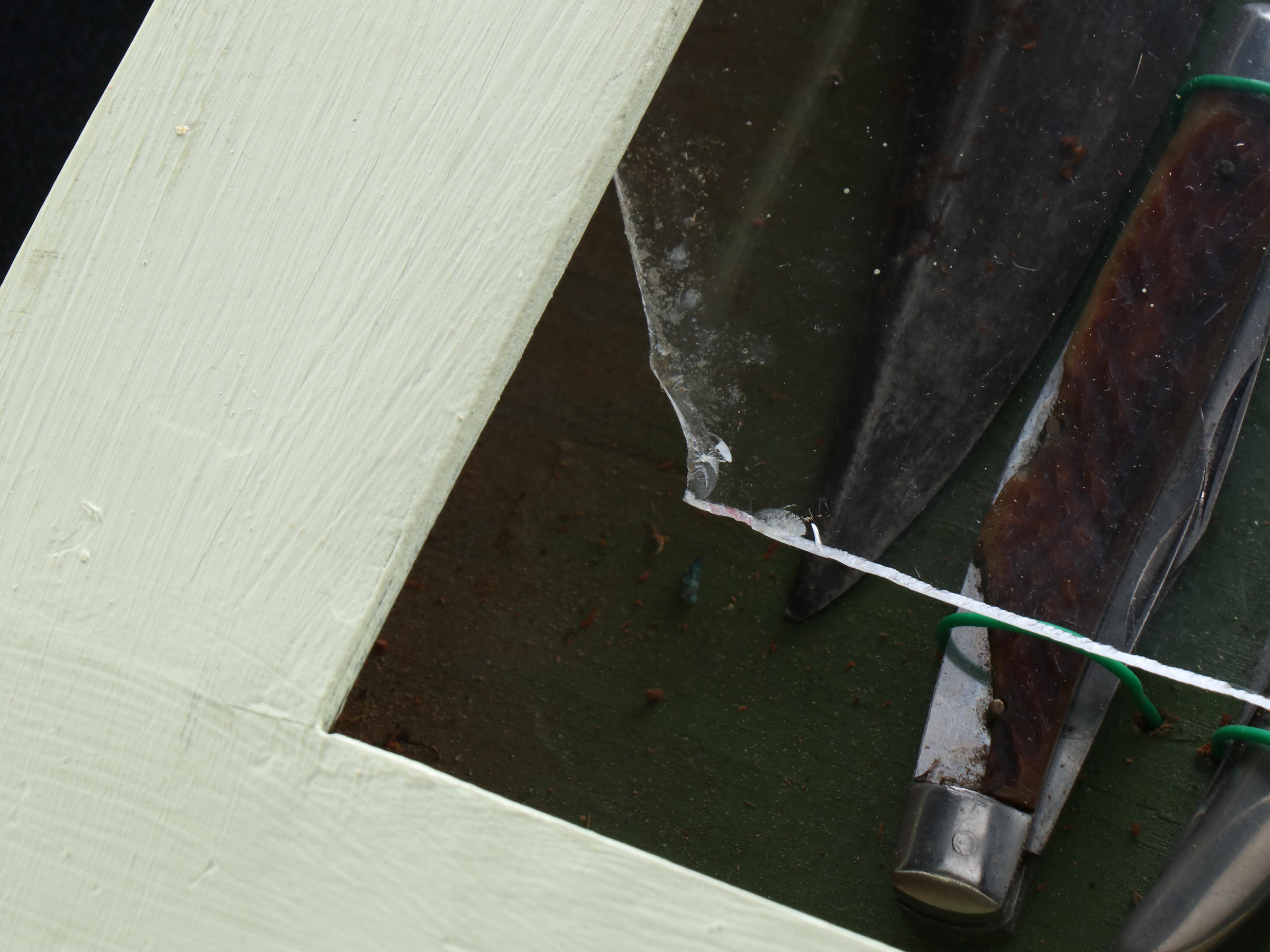 Mounted Pocket Knife Collection