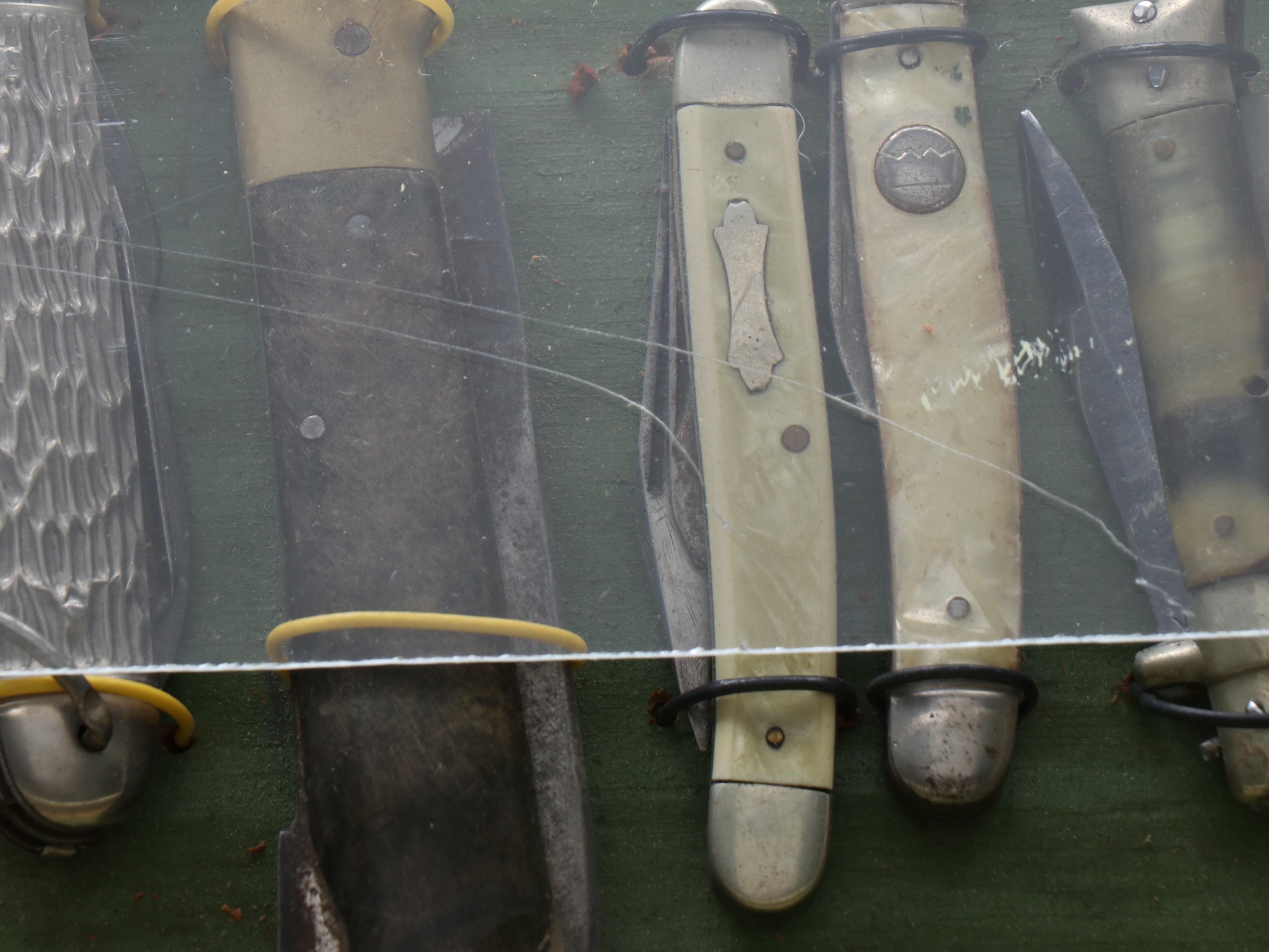 Mounted Pocket Knife Collection