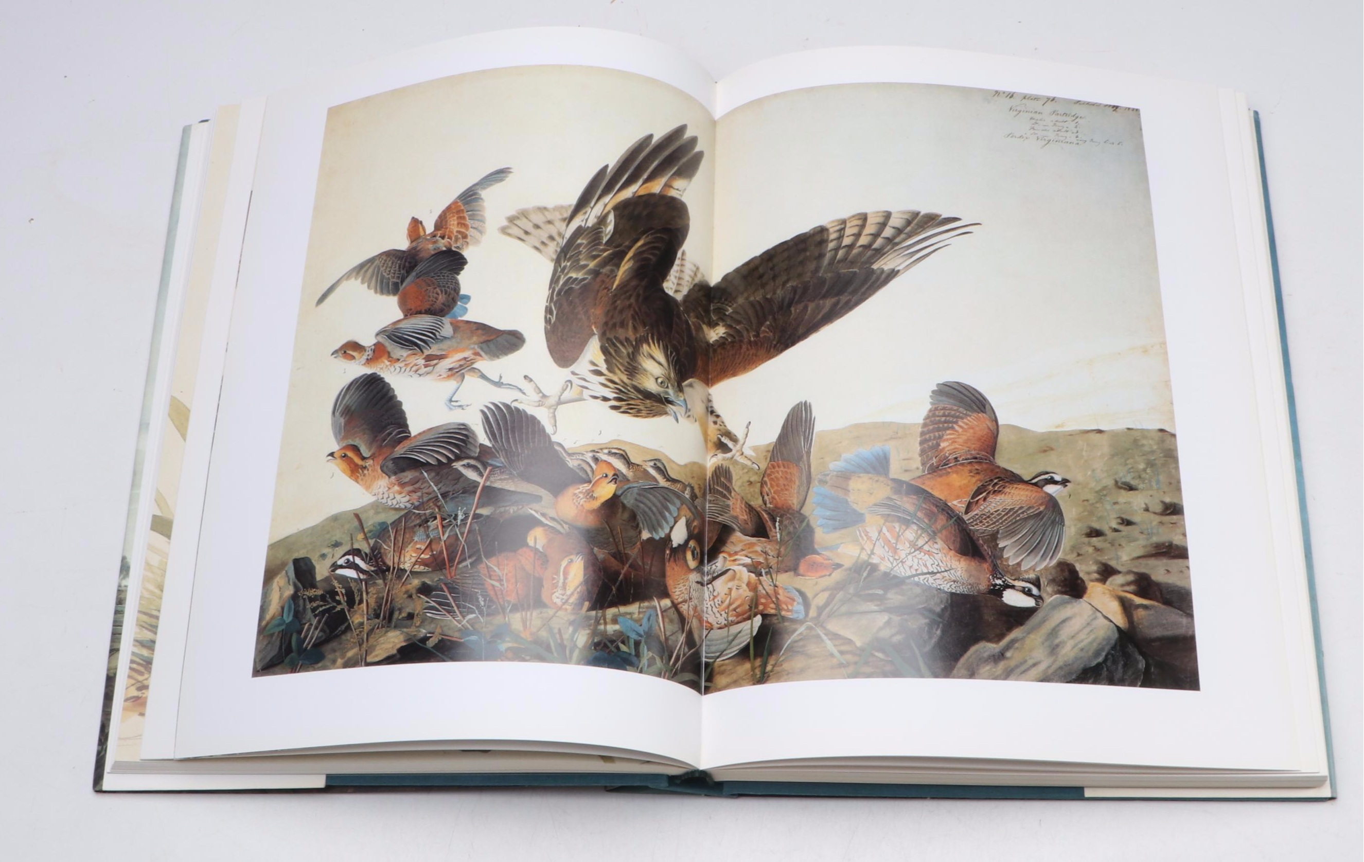 First Printing "John James Audubon: Watercolors for The Birds of America," 1993
