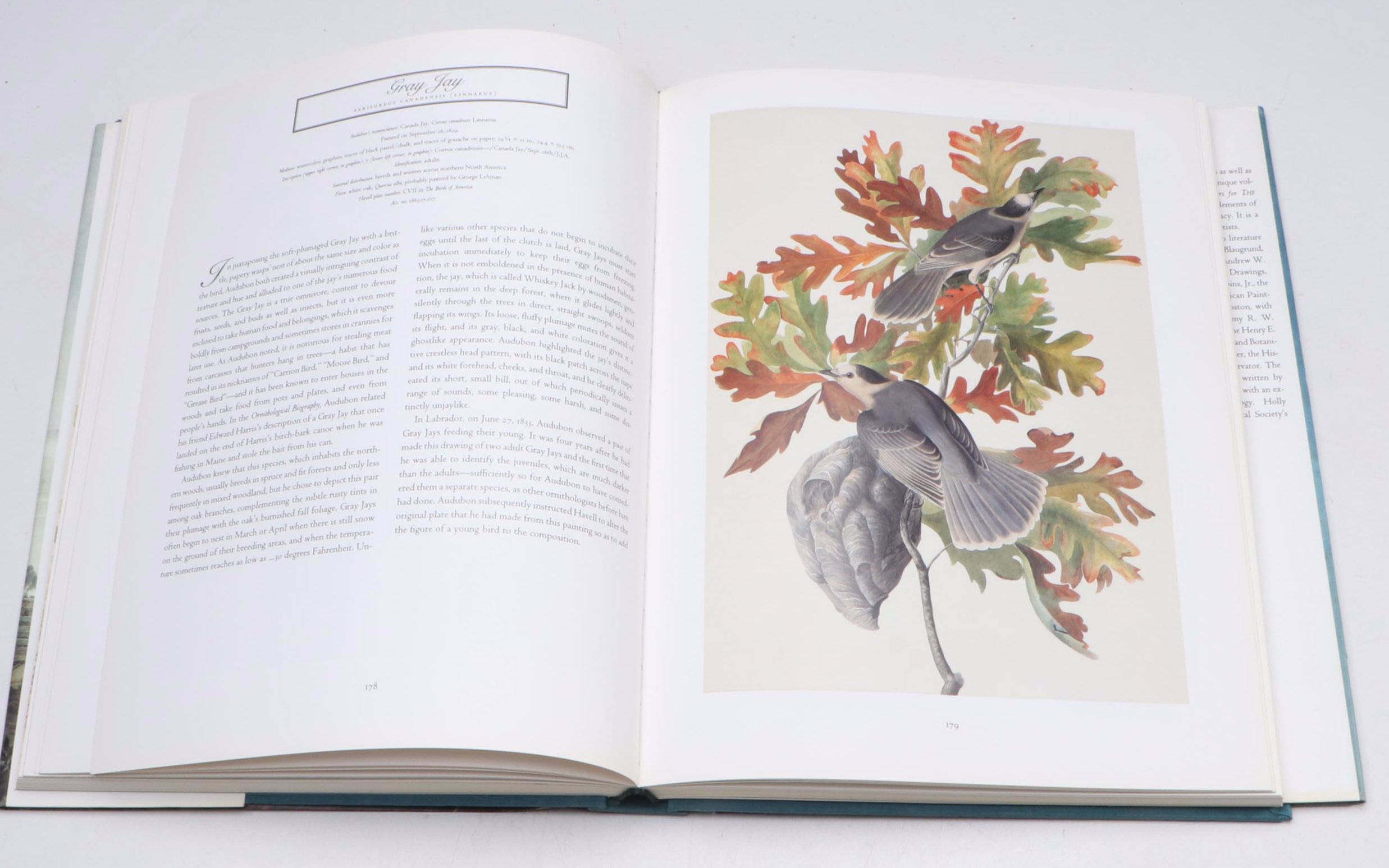 First Printing "John James Audubon: Watercolors for The Birds of America," 1993