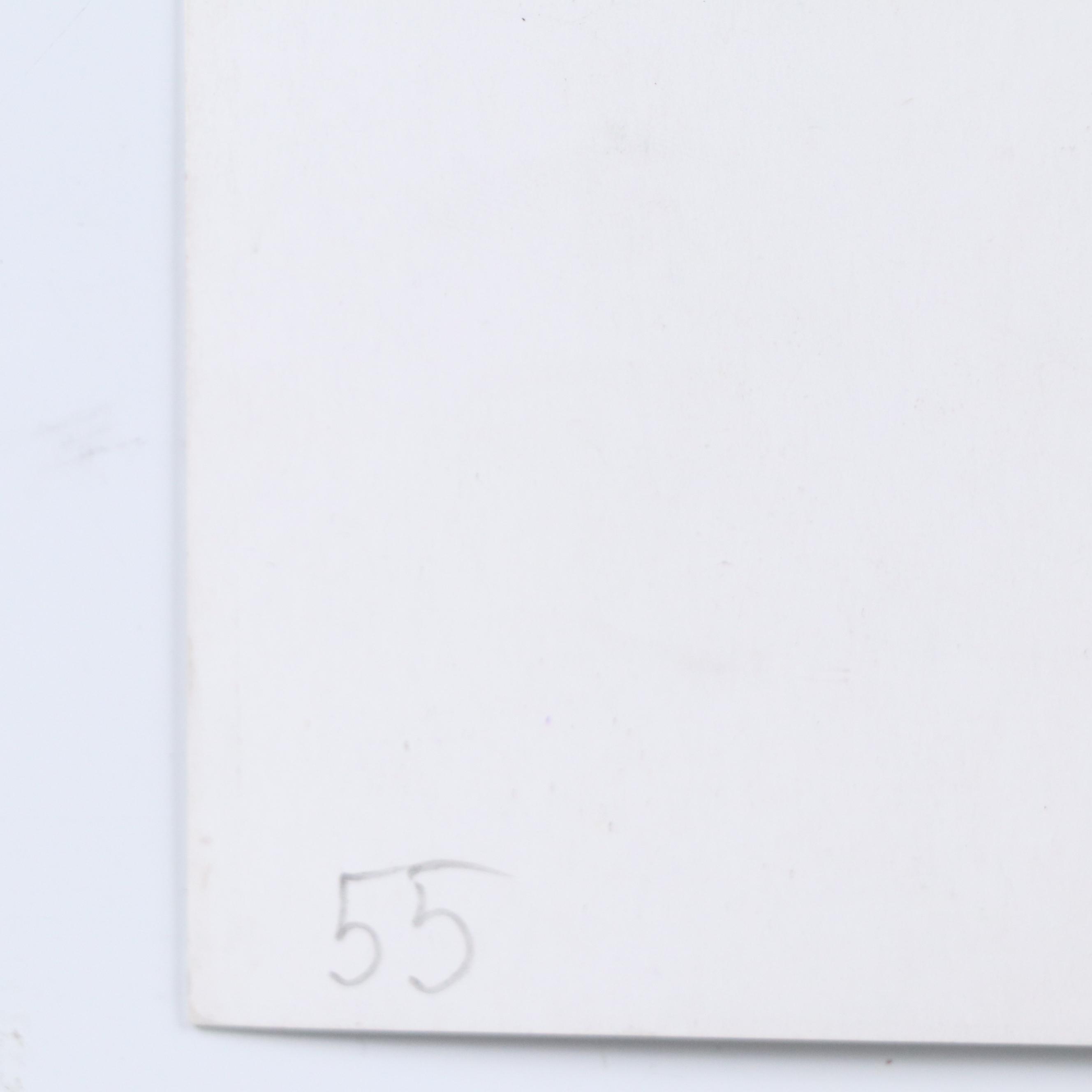 Kinstler Pastel Drawing of Koi Fish, 2024