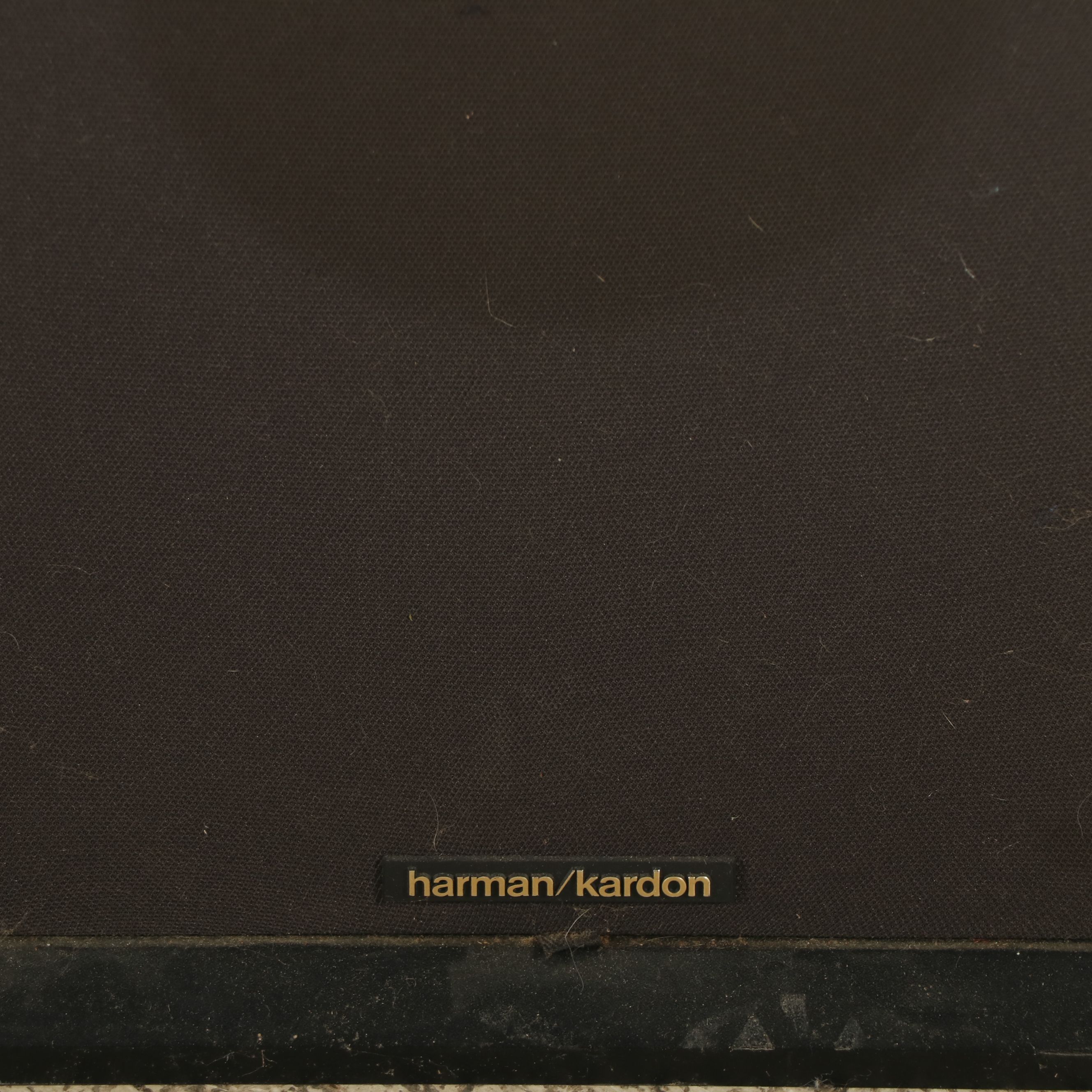Harman/Kardon Floor Standing Speakers