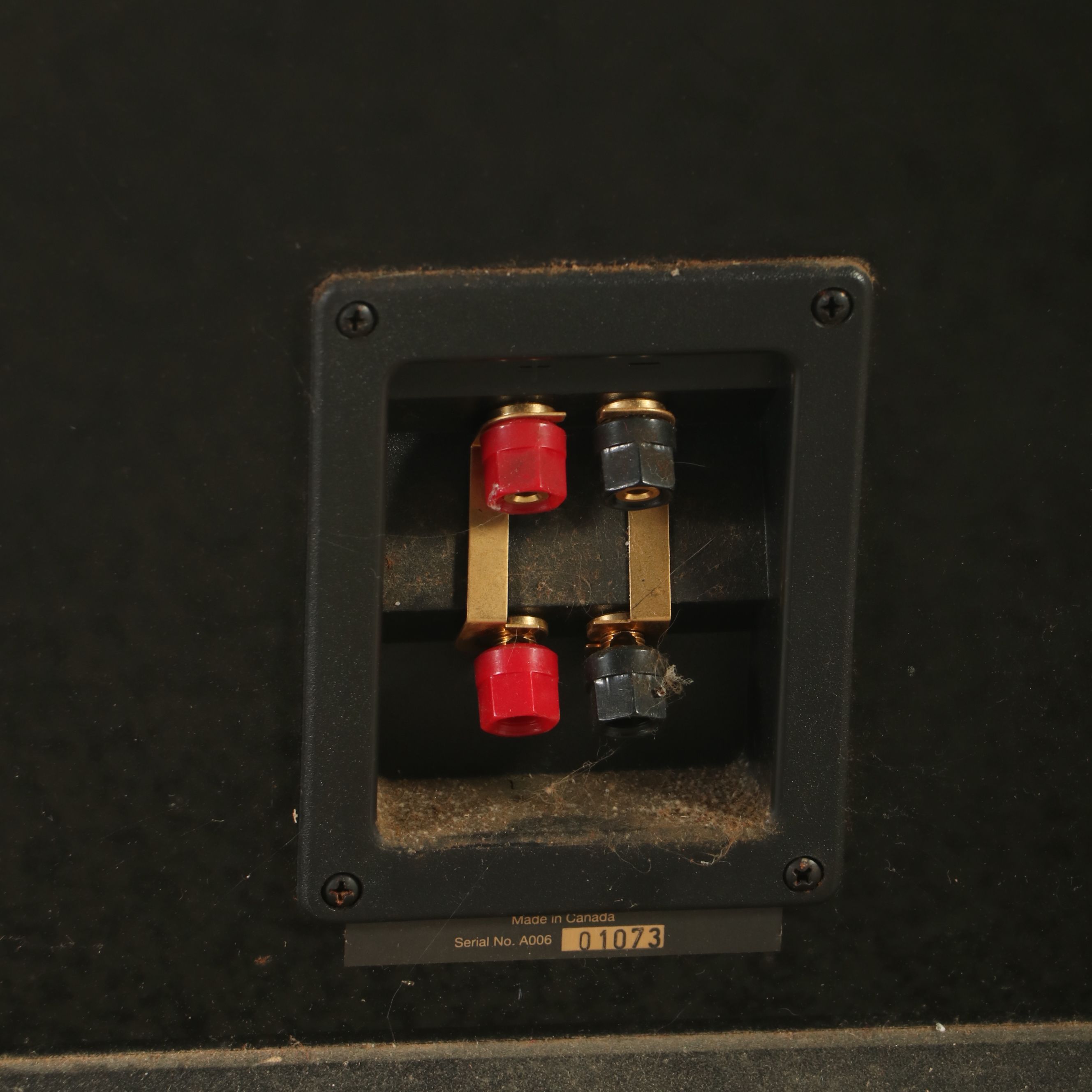 Harman/Kardon Floor Standing Speakers