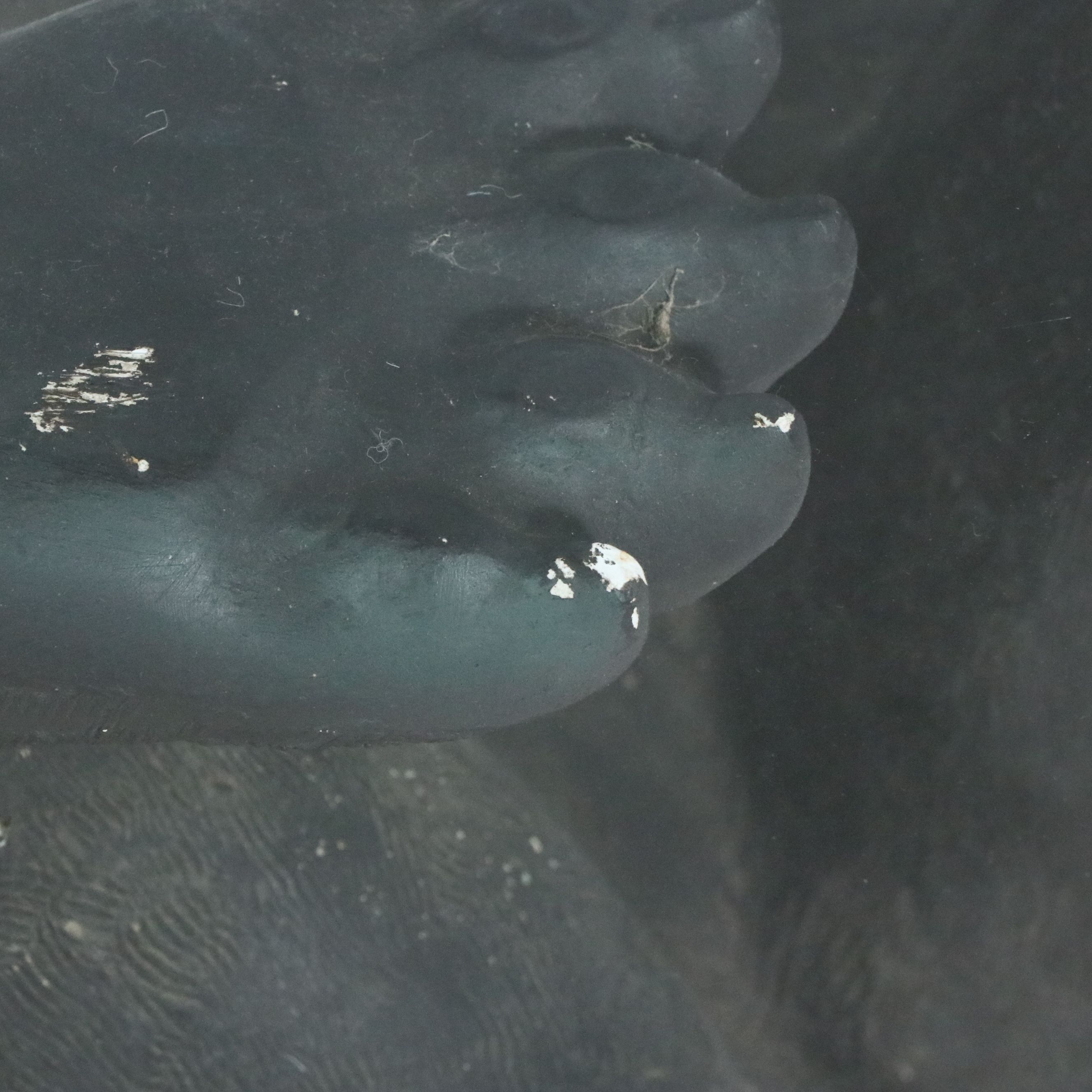 Bear Form Coffee Table with Glass Top