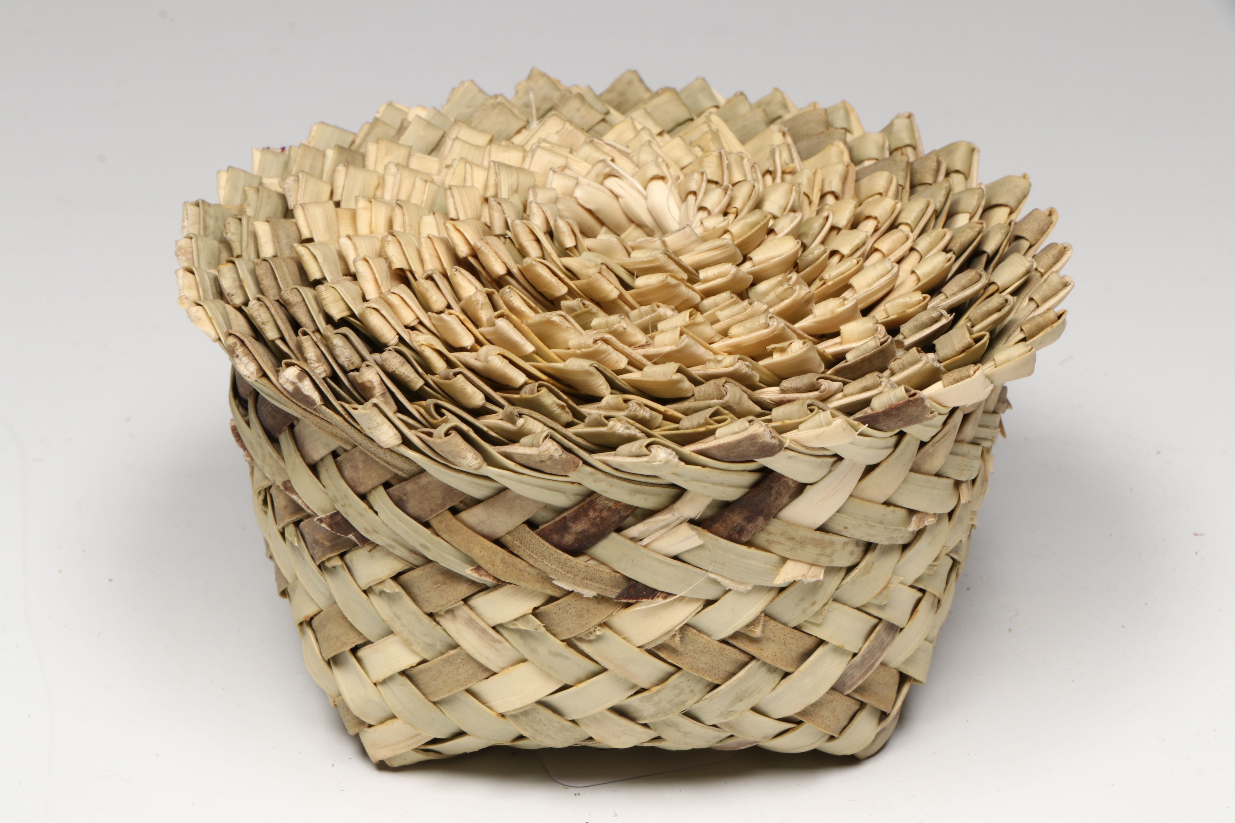 Mexican Double Weave Pine Needle and Sotol Tarahumara Baskets