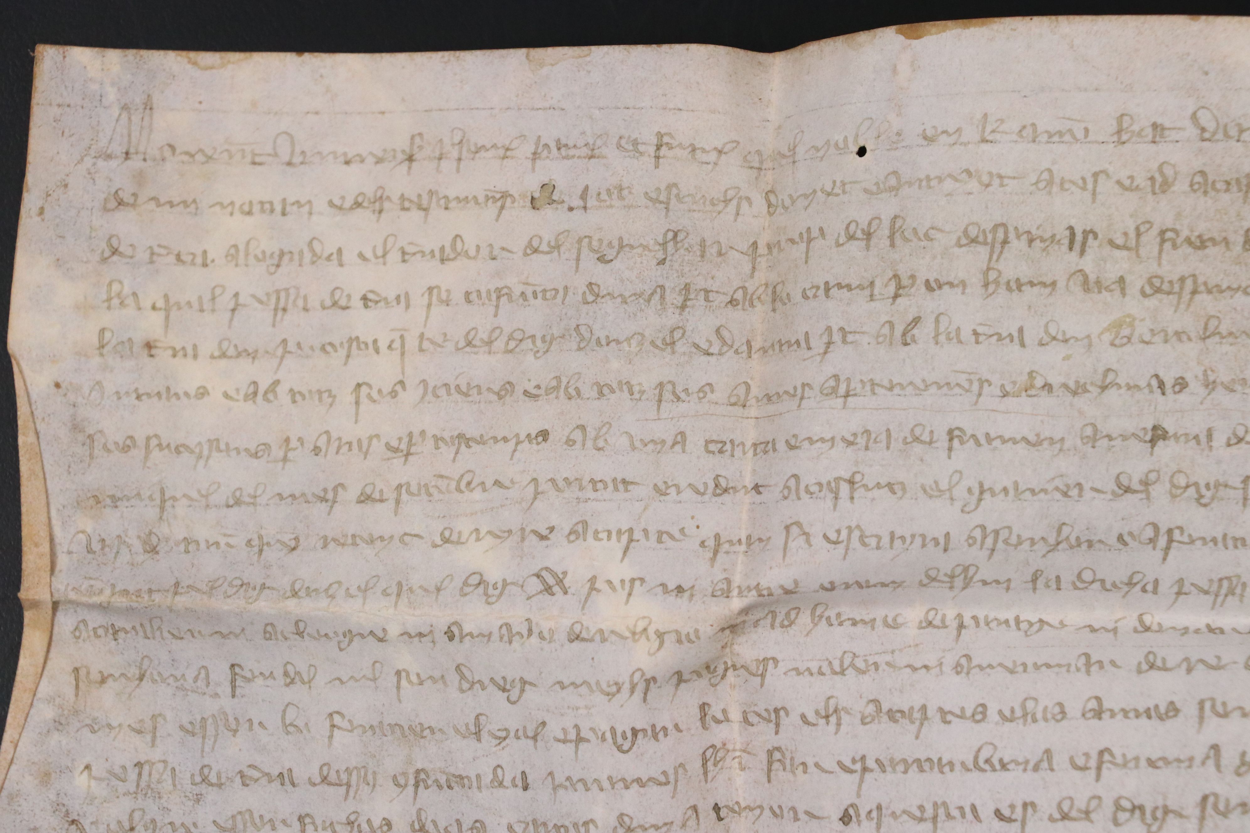 Antique 1352 Spanish Vellum Land Grant Document