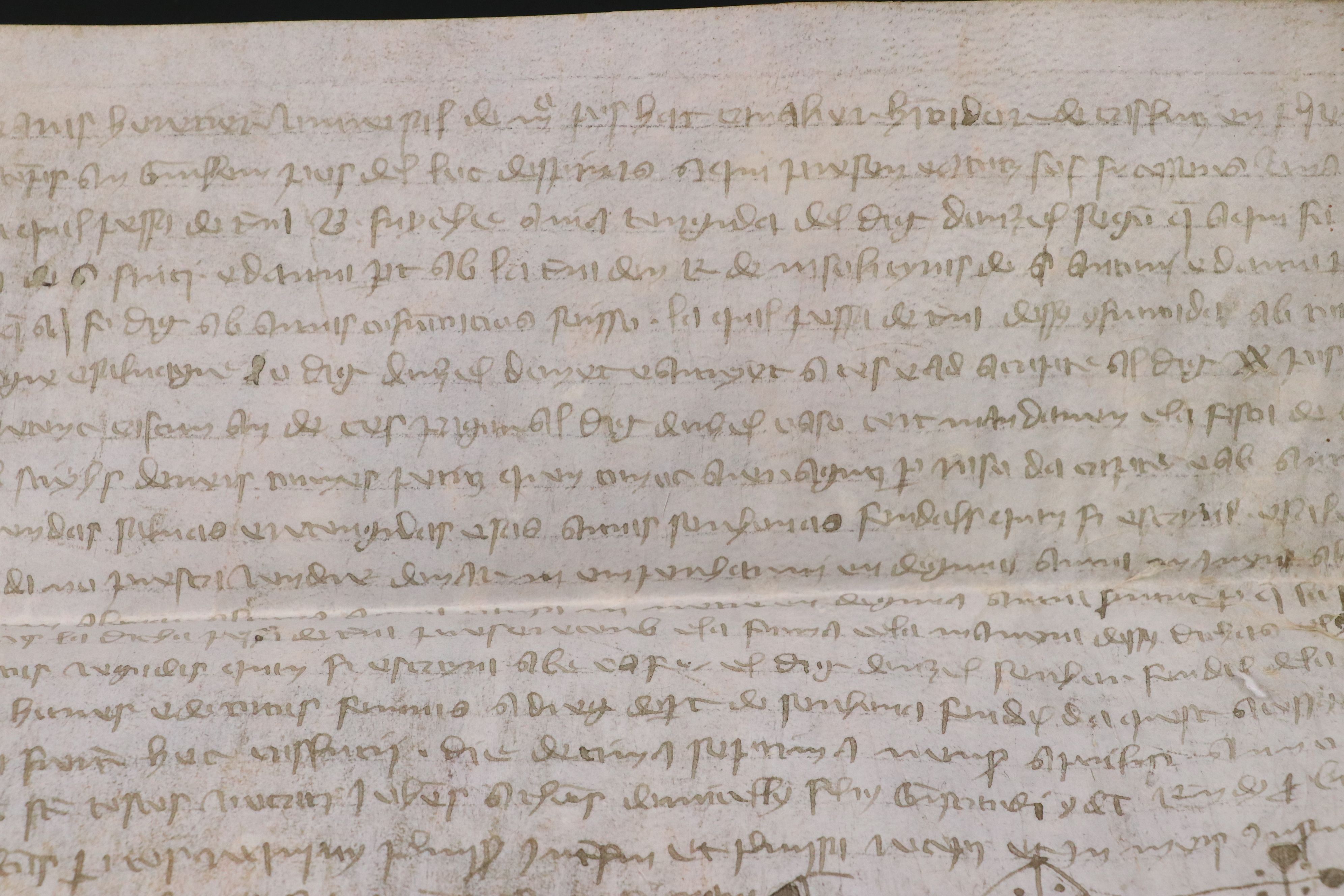 Antique 1352 Spanish Vellum Land Grant Document