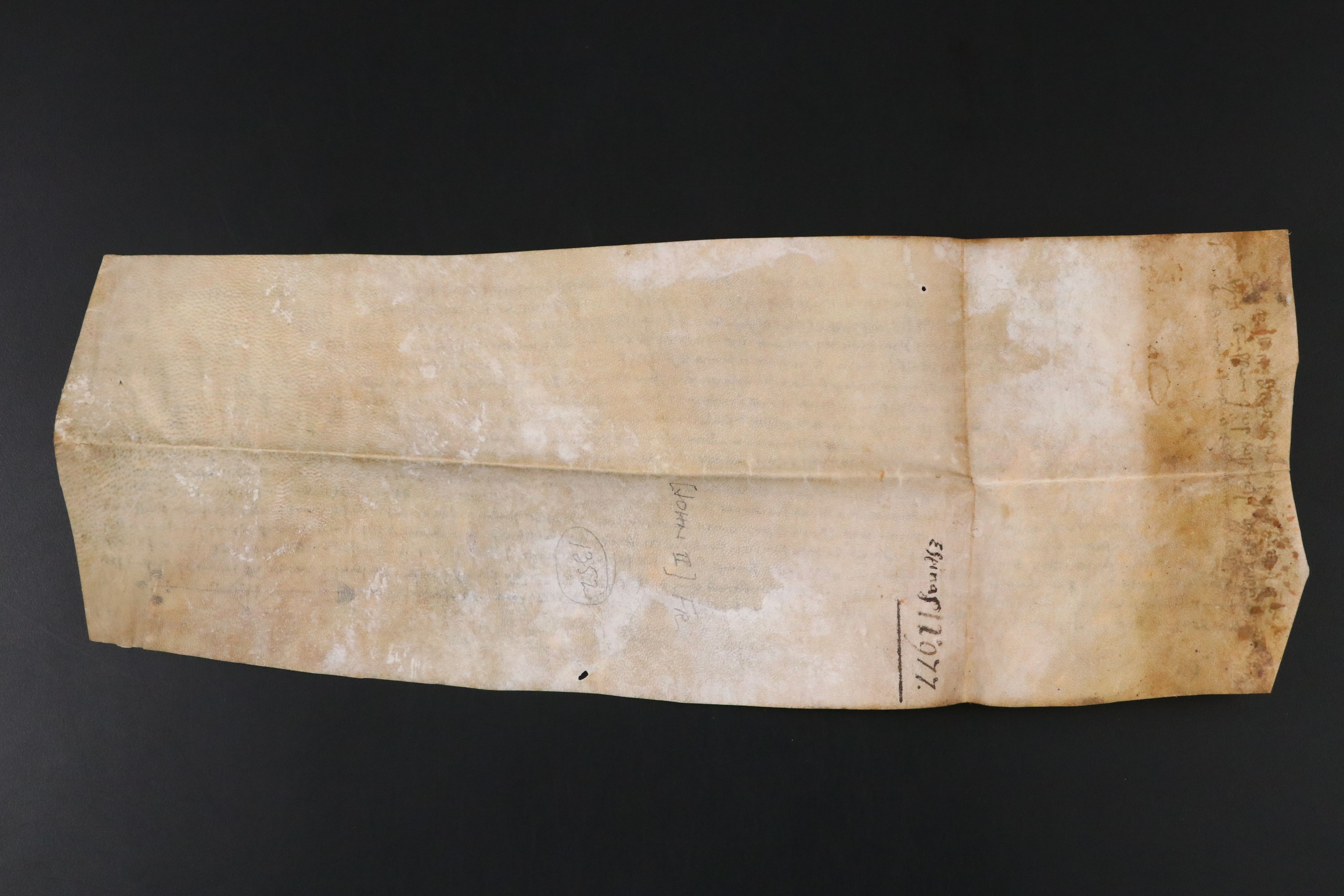 Antique 1352 Spanish Vellum Land Grant Document