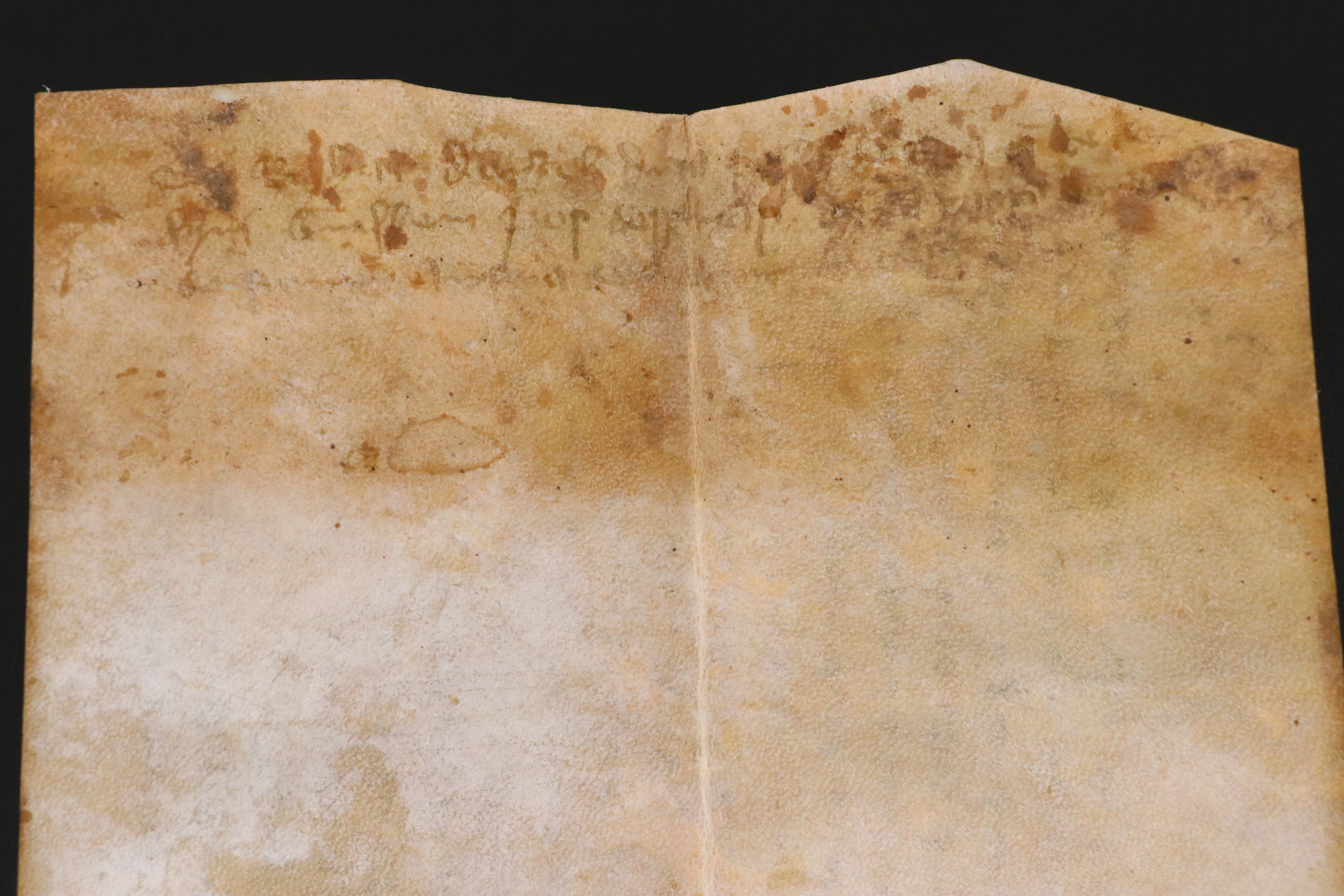 Antique 1352 Spanish Vellum Land Grant Document