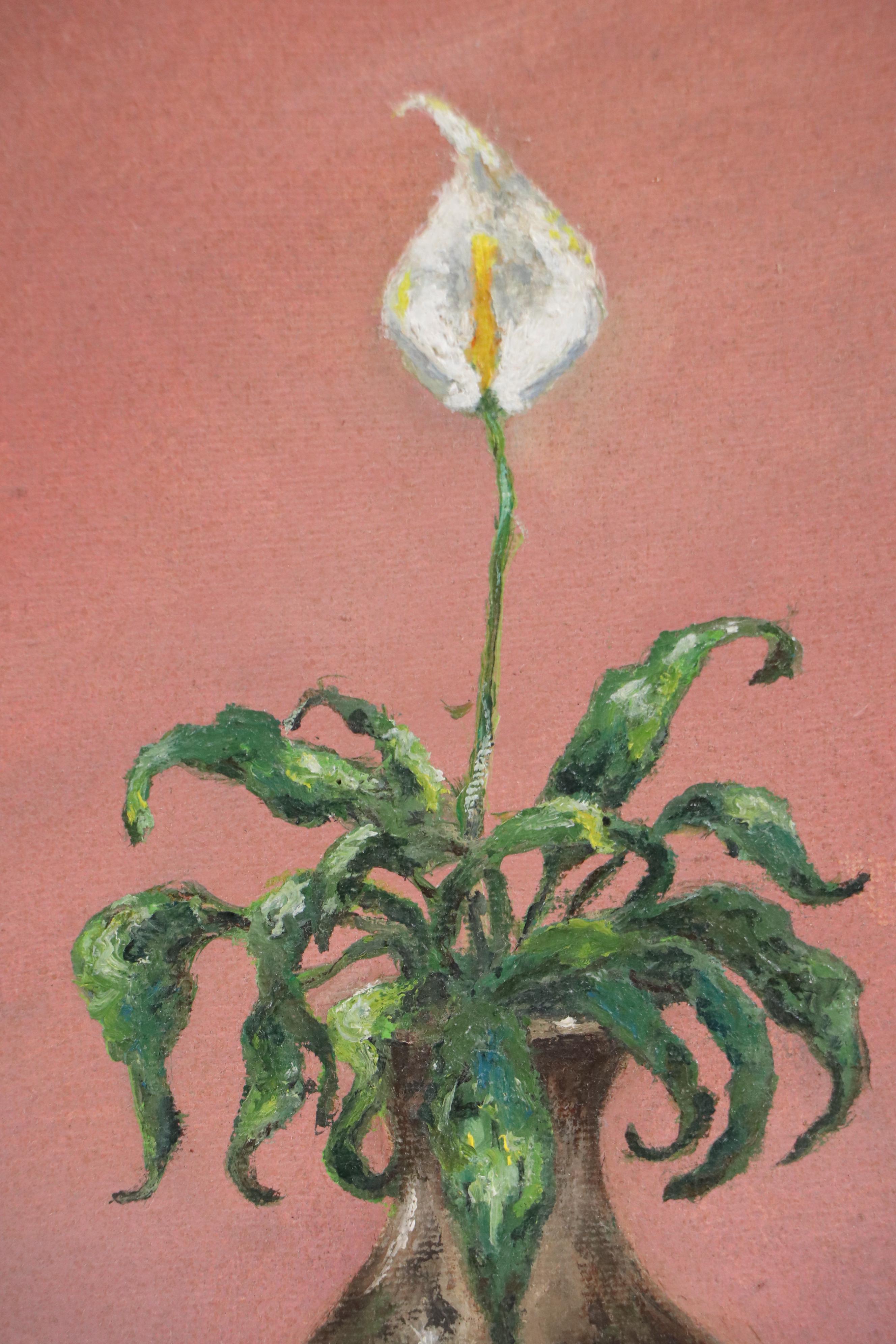 Catalina Still Life Oil Painting of Calla Lily, 1991